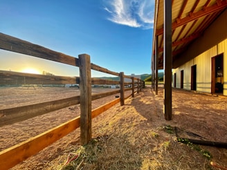 A sunlit scene of a family working together to build a sturdy fence on a wide Saskatchewan ranch.