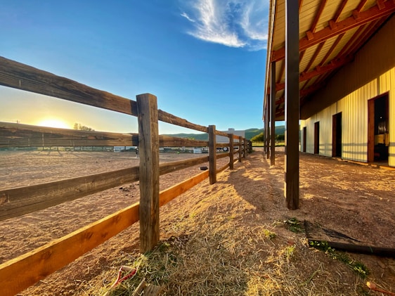 A sunlit scene of a family working together to build a sturdy fence on a wide Saskatchewan ranch.