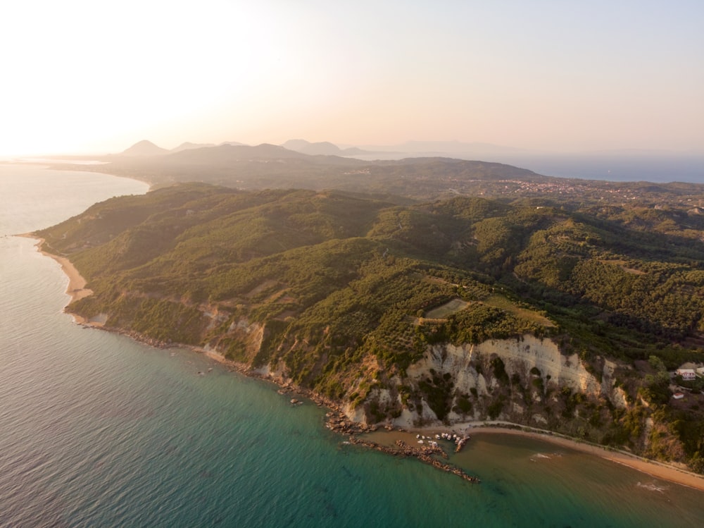 uma praia com árvores e um corpo de água