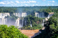 a group of waterfalls surrounded by trees