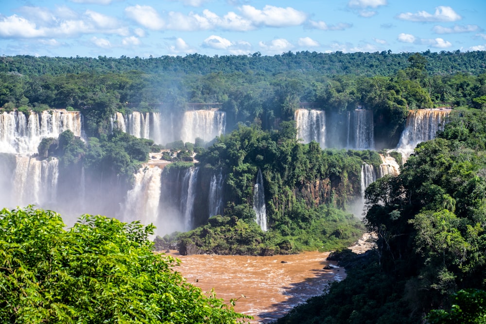 a group of waterfalls surrounded by trees