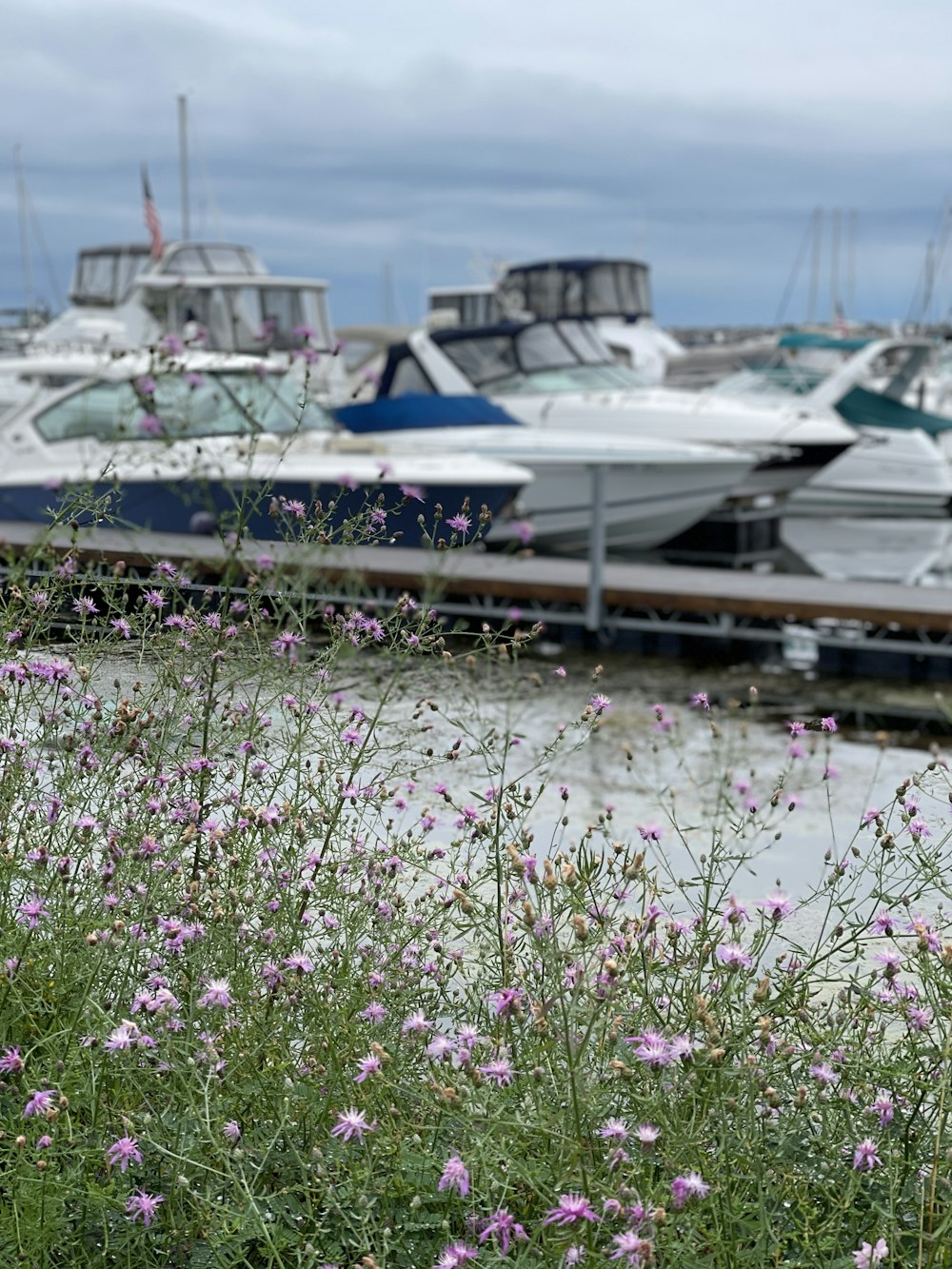 a group of boats on a dock