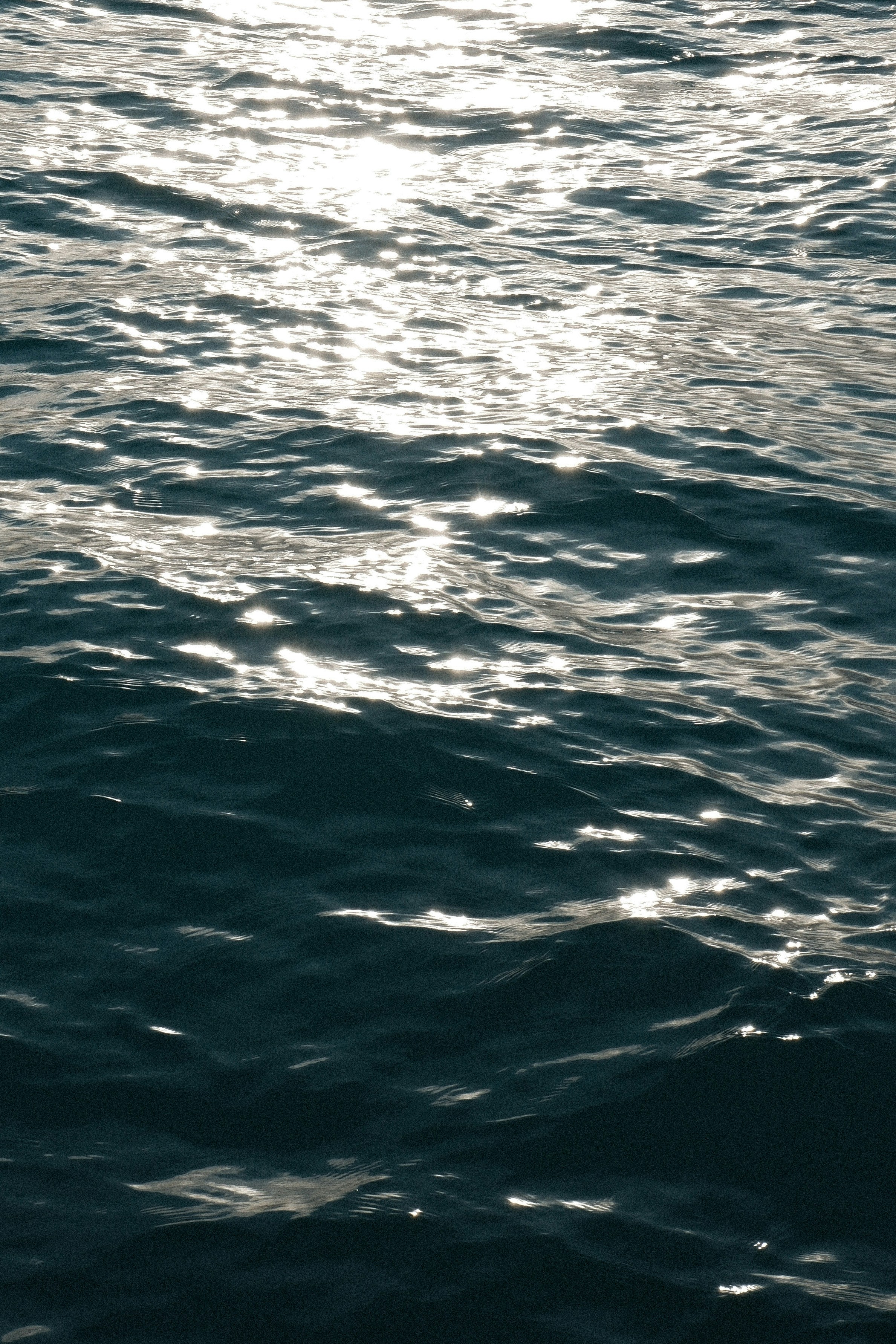 Photo by piligonzalezprieto