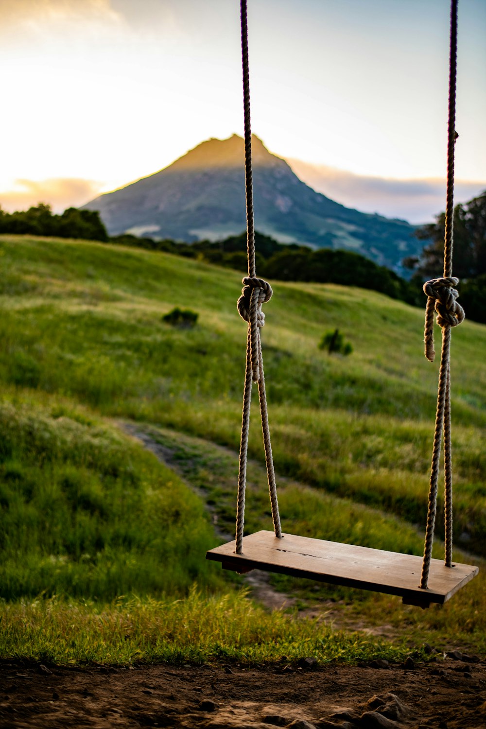 a swing set in a field