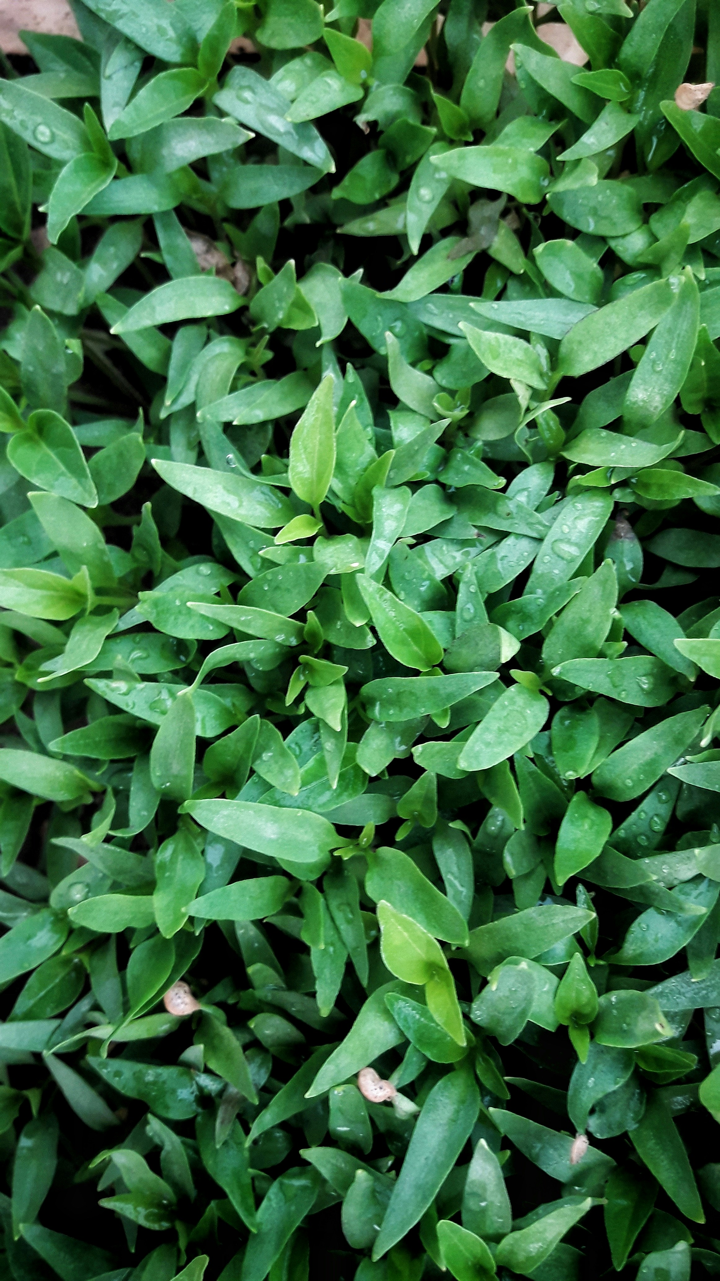 Photo by shubhanginijad9