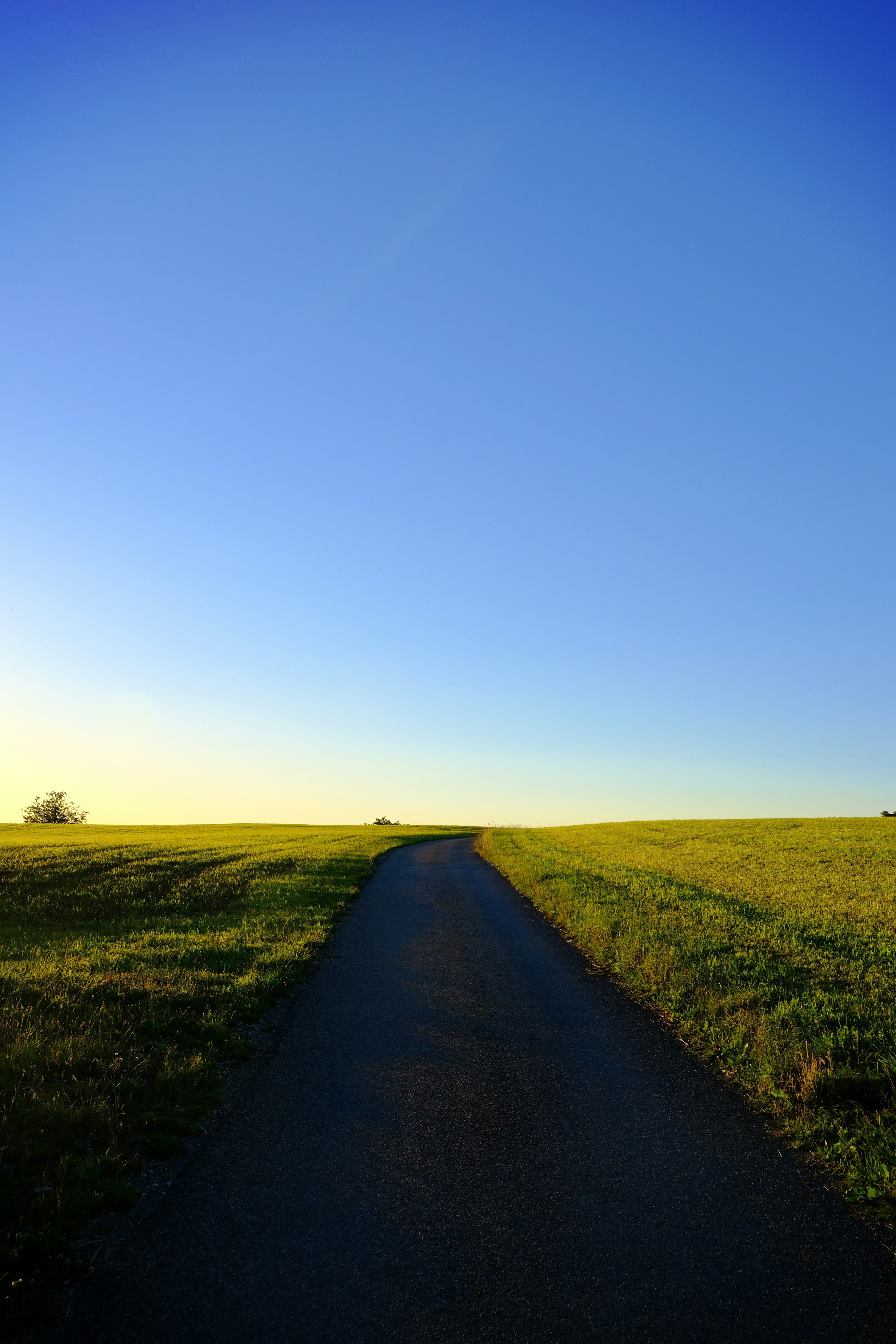 Photo by shanewester