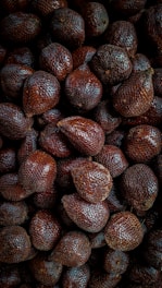 a pile of brown beans