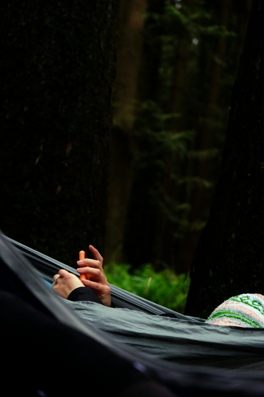 a person lying on a blanket in the woods