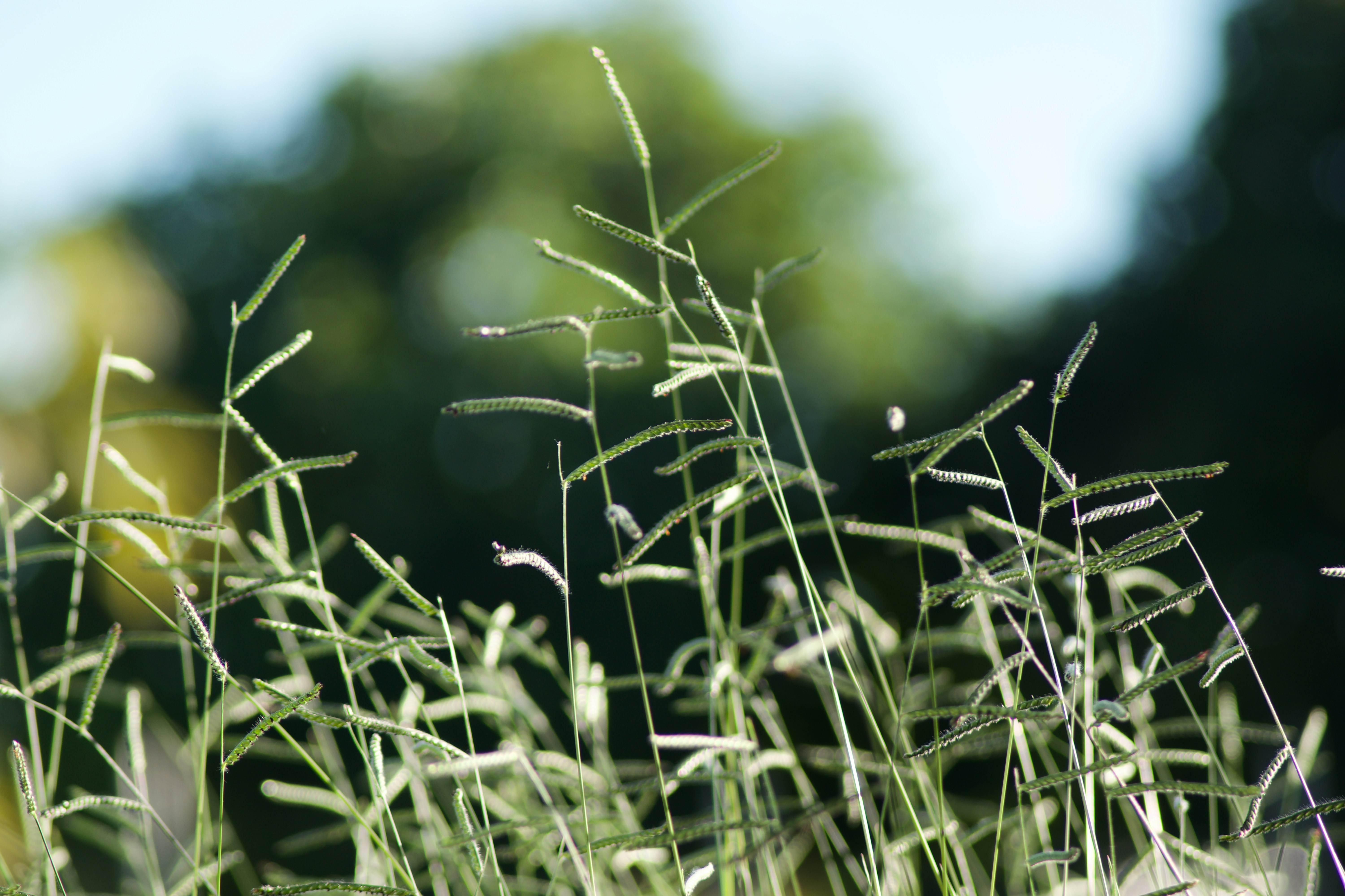 Photo by julio_klinger