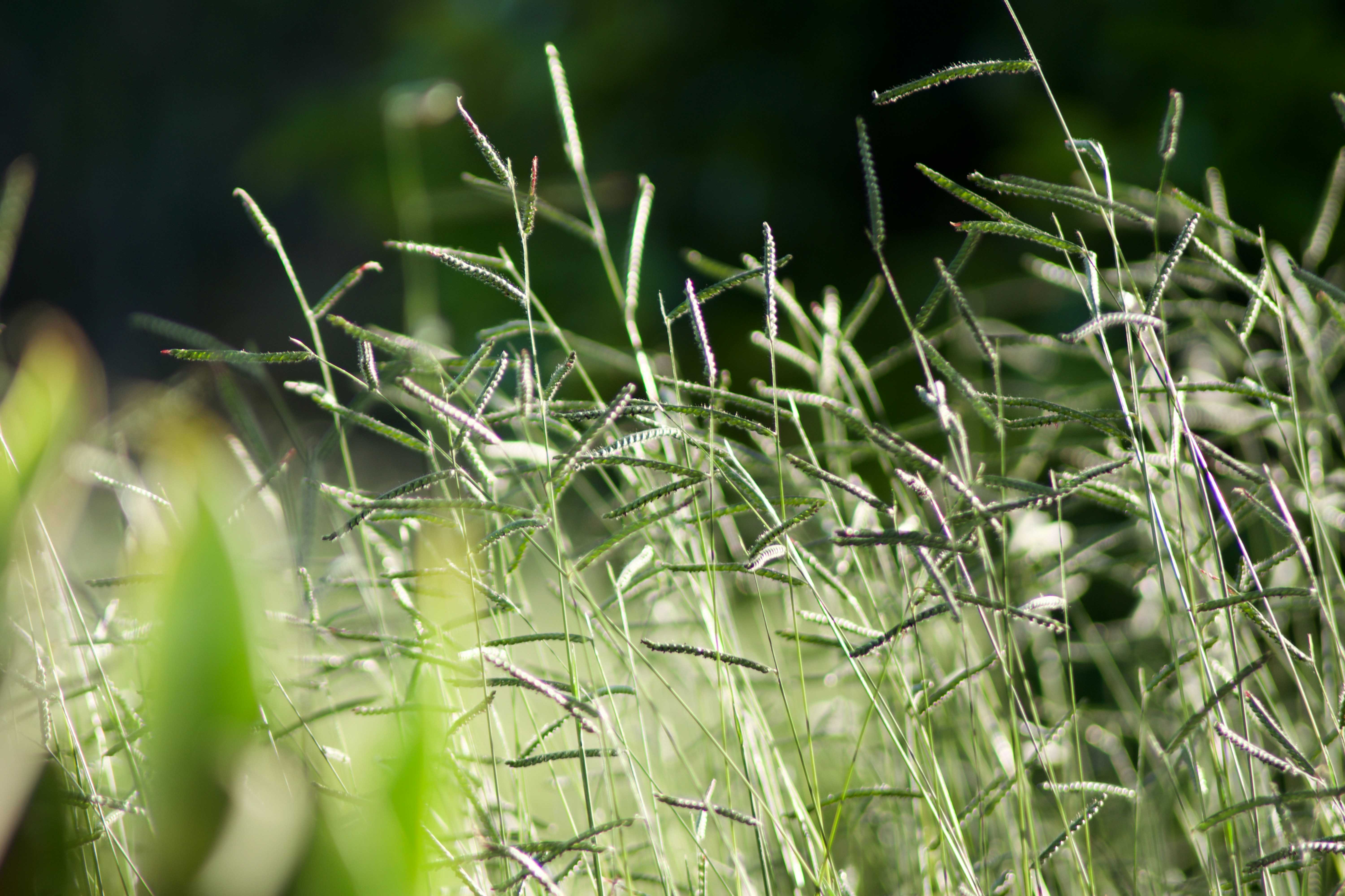 Photo by julio_klinger