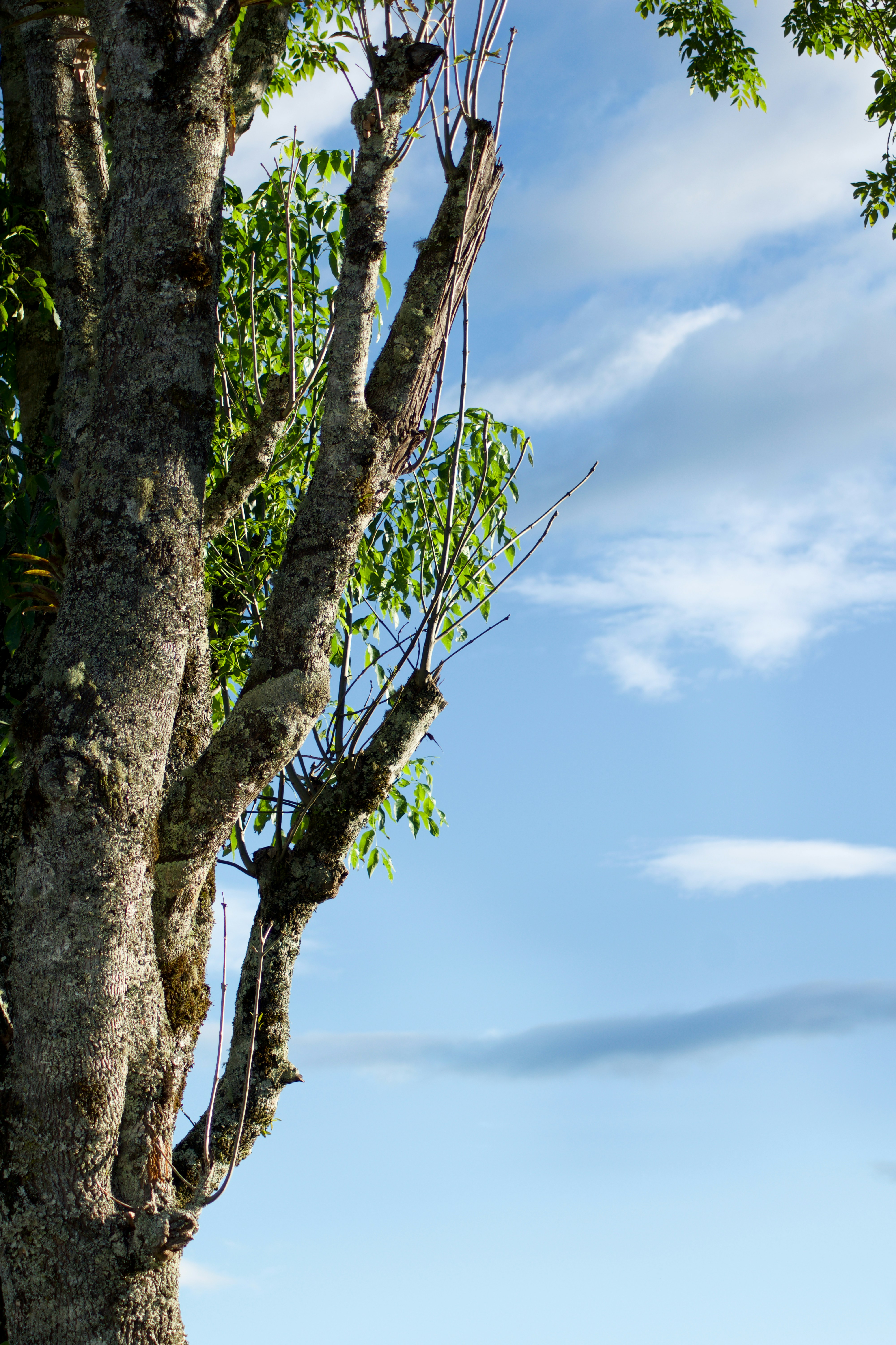 Photo by julio_klinger