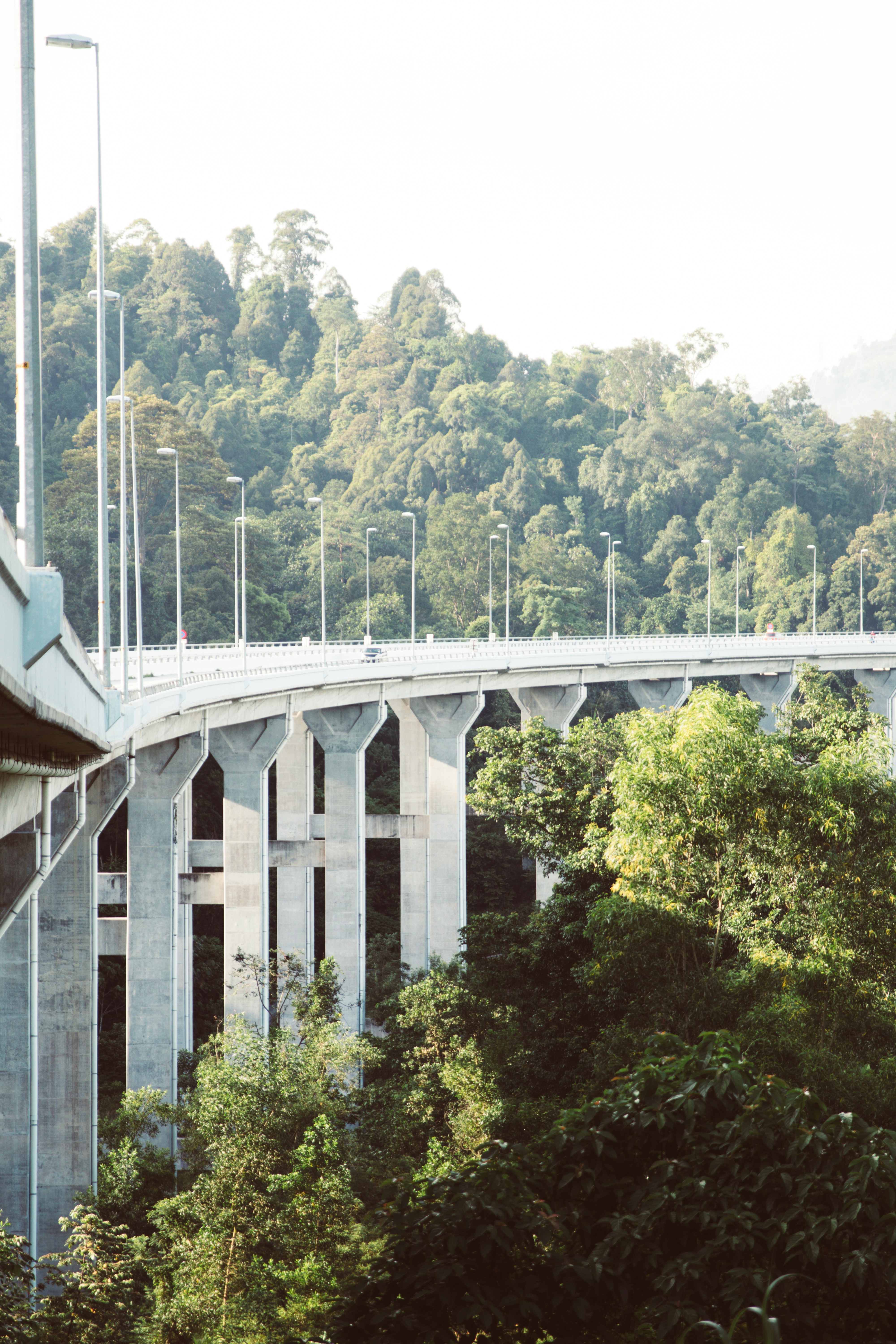 a bridge over a river
