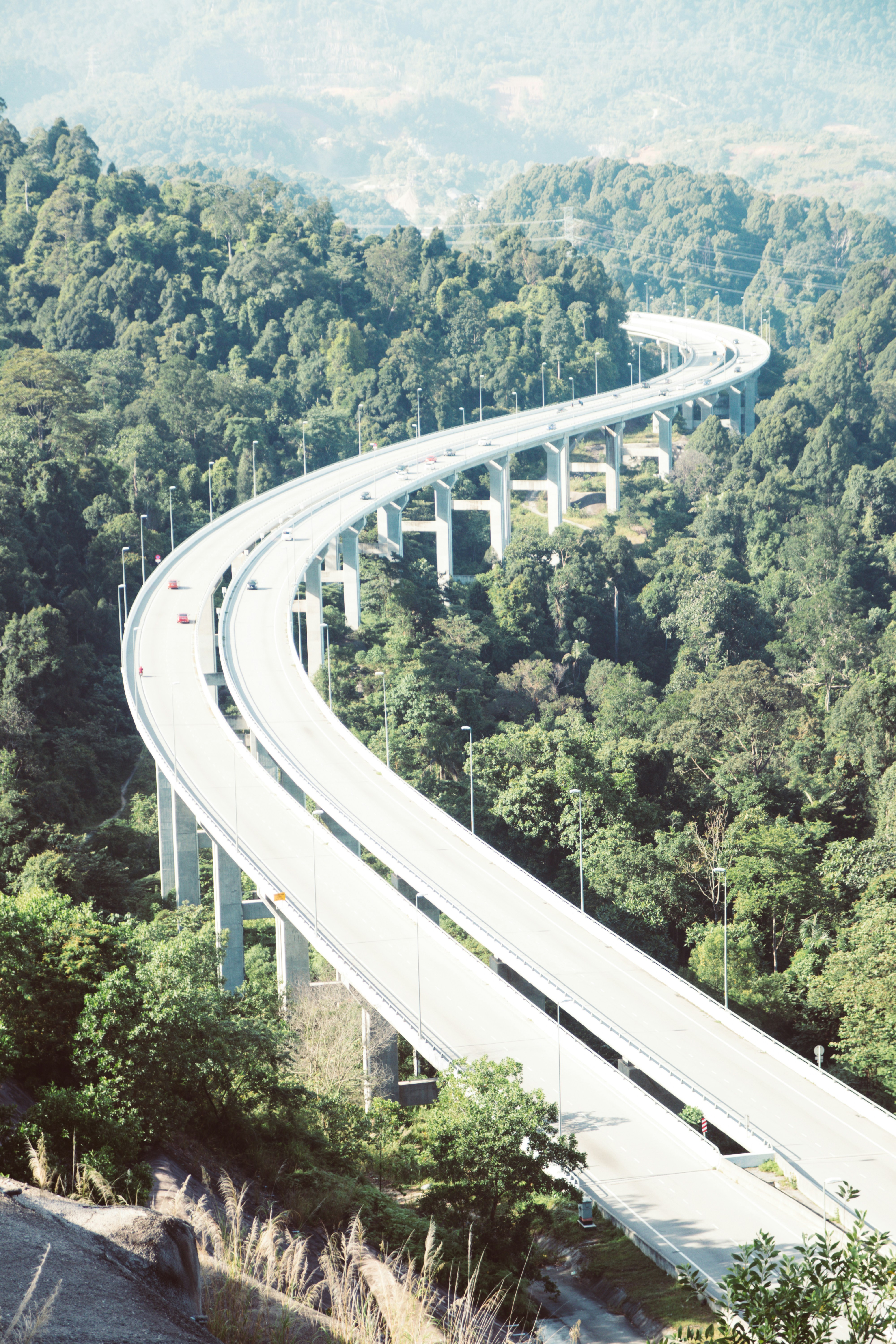 a long bridge over a forest