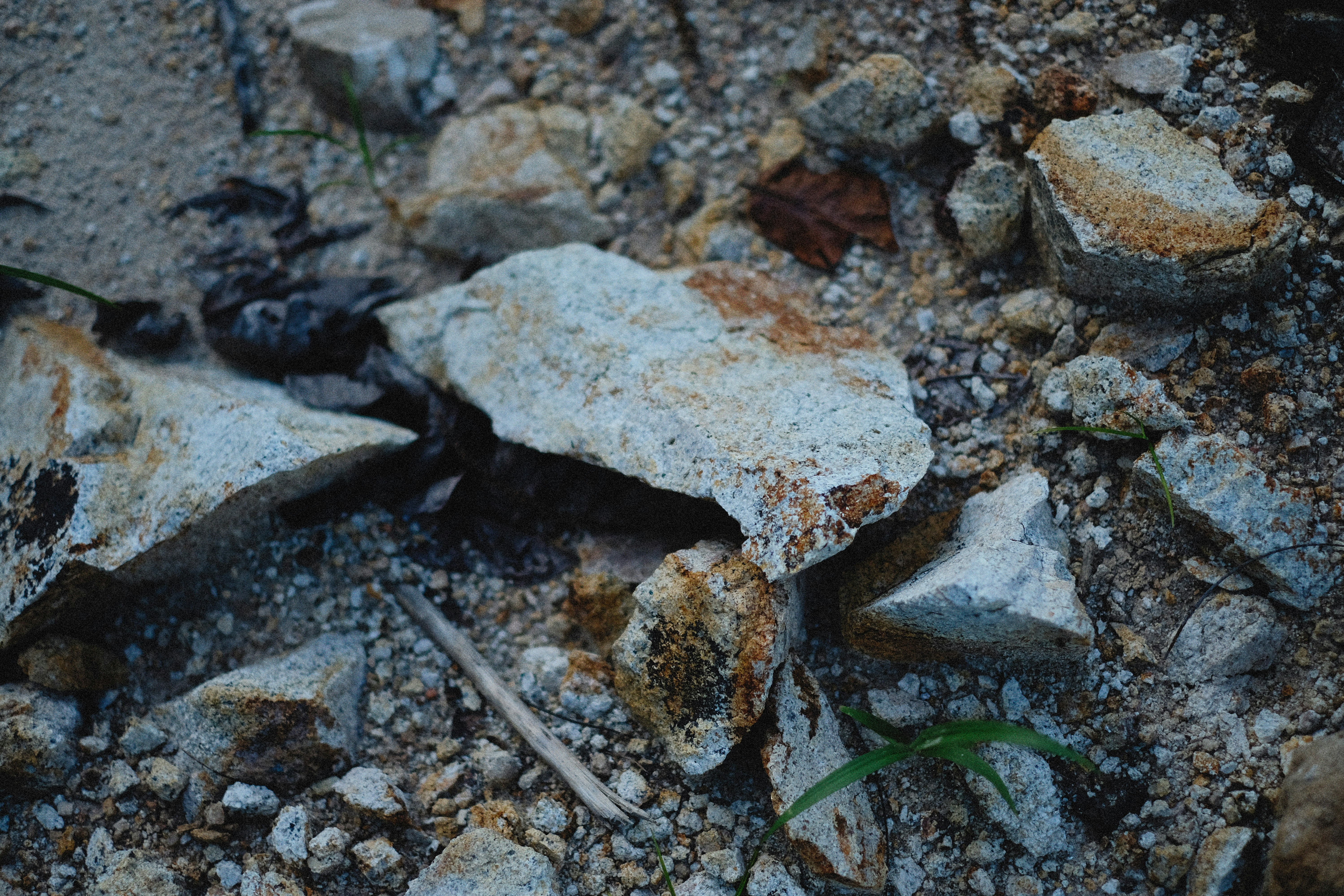 Photo by alexeydemidov