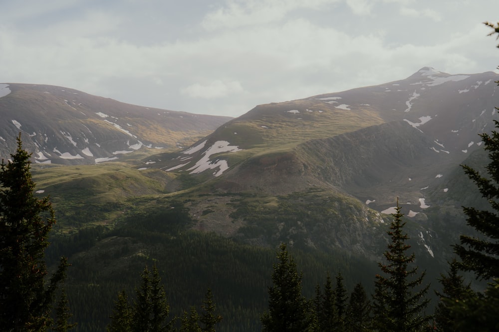 a landscape with trees and mountains