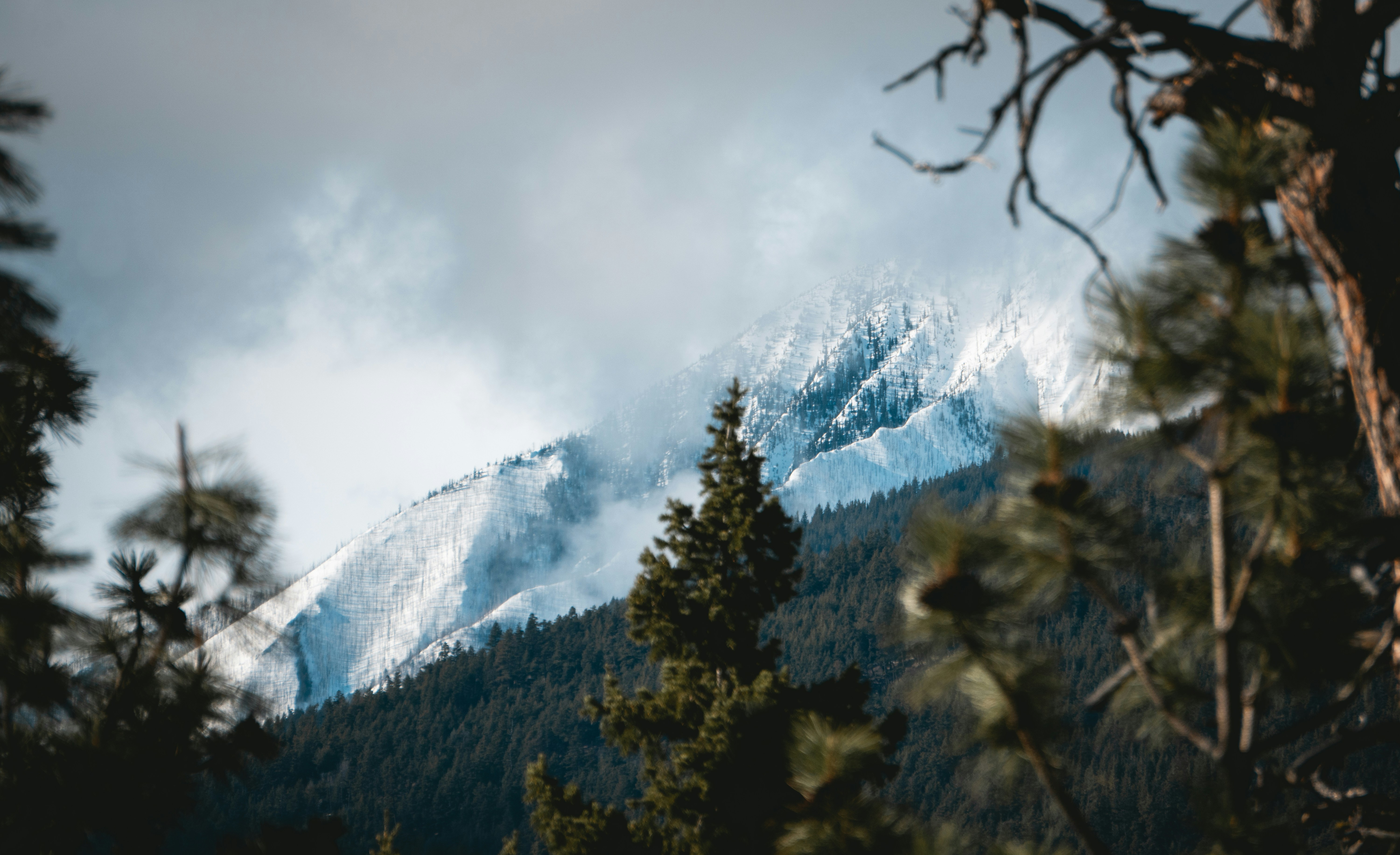 Photo by tannerrmorann__