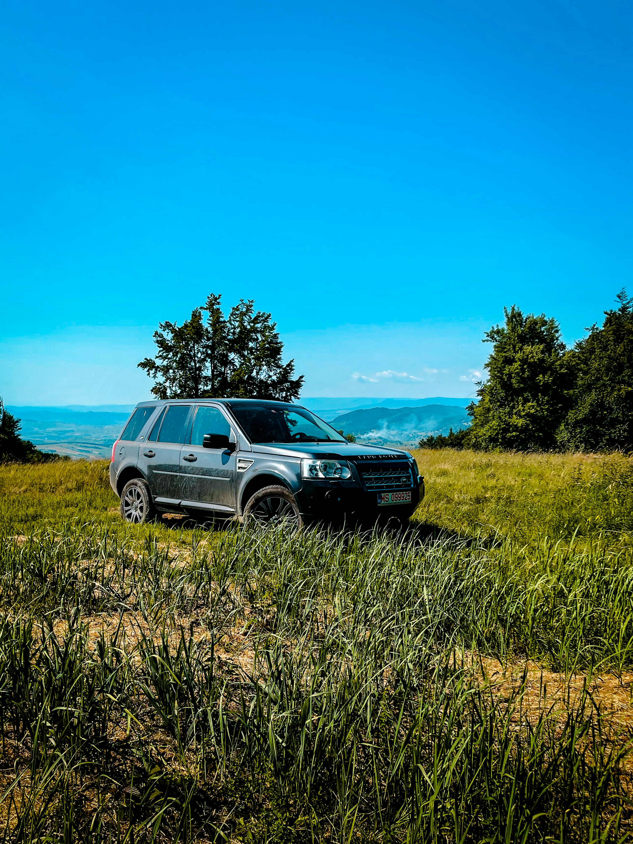 a car parked in a grassy field
