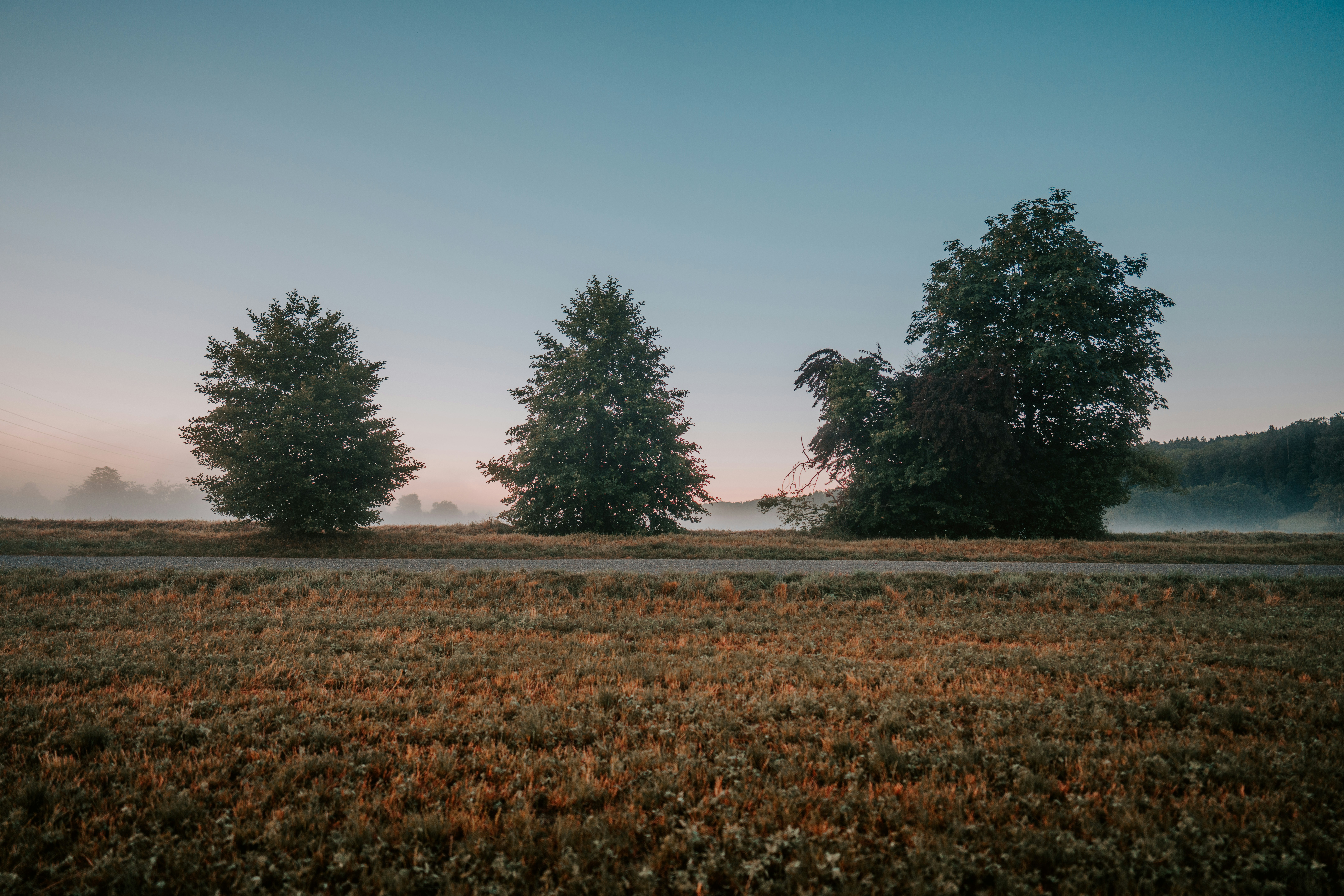 Photo by purzlbaum