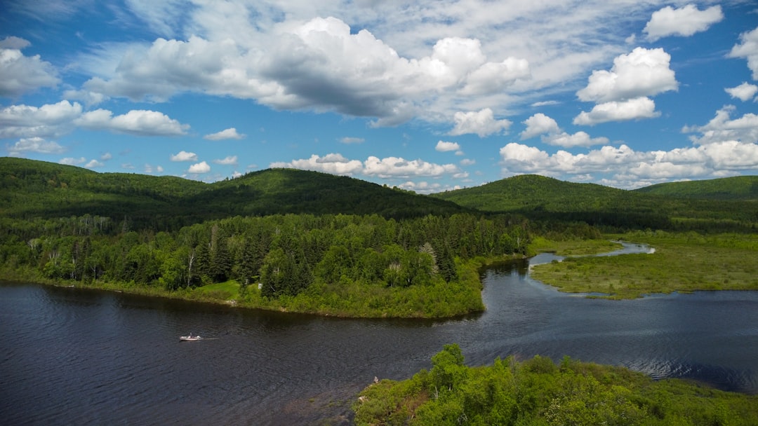 a river with trees and hills in the background