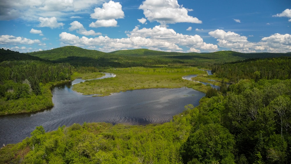 a river surrounded by trees