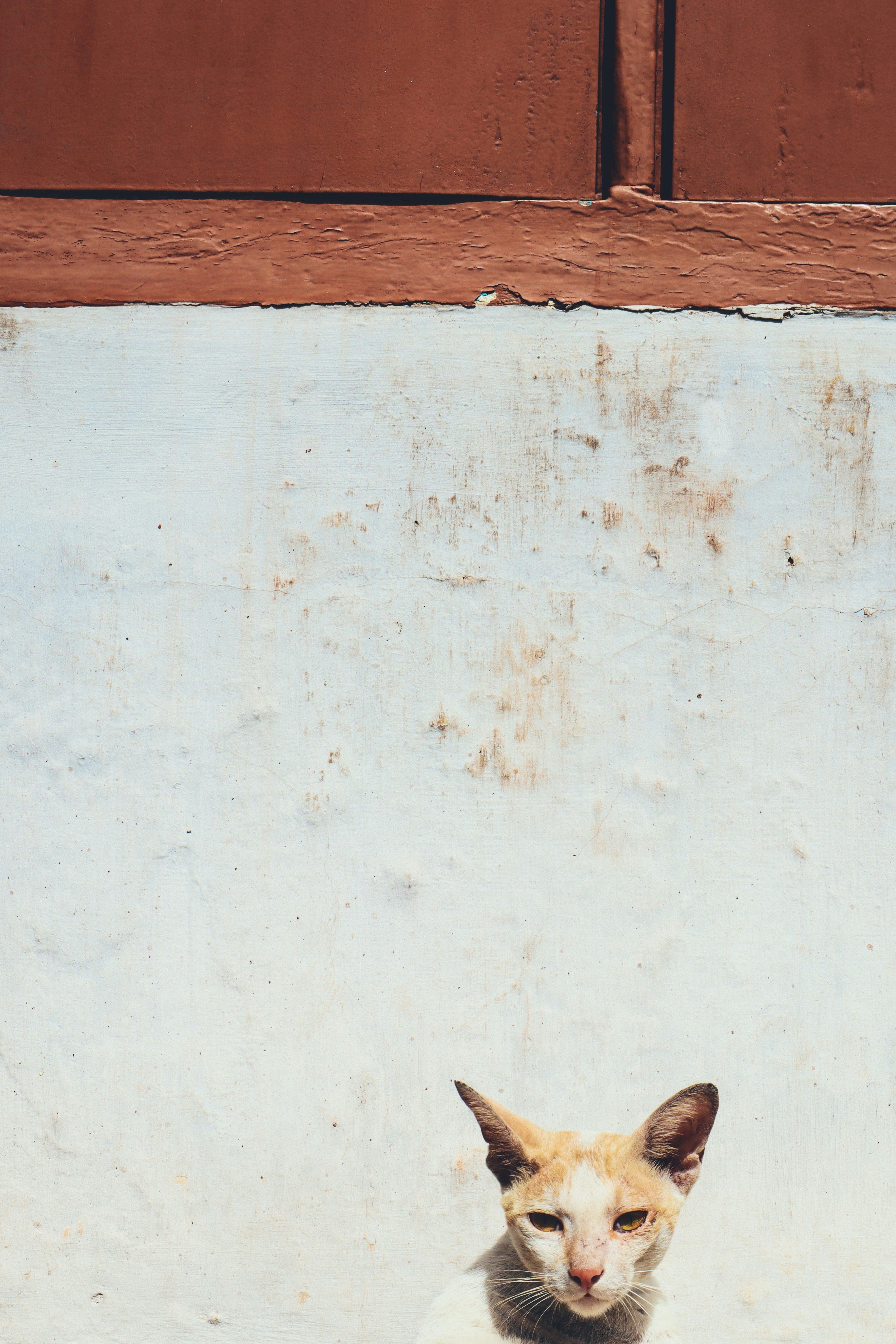 Photo by vpphotographers