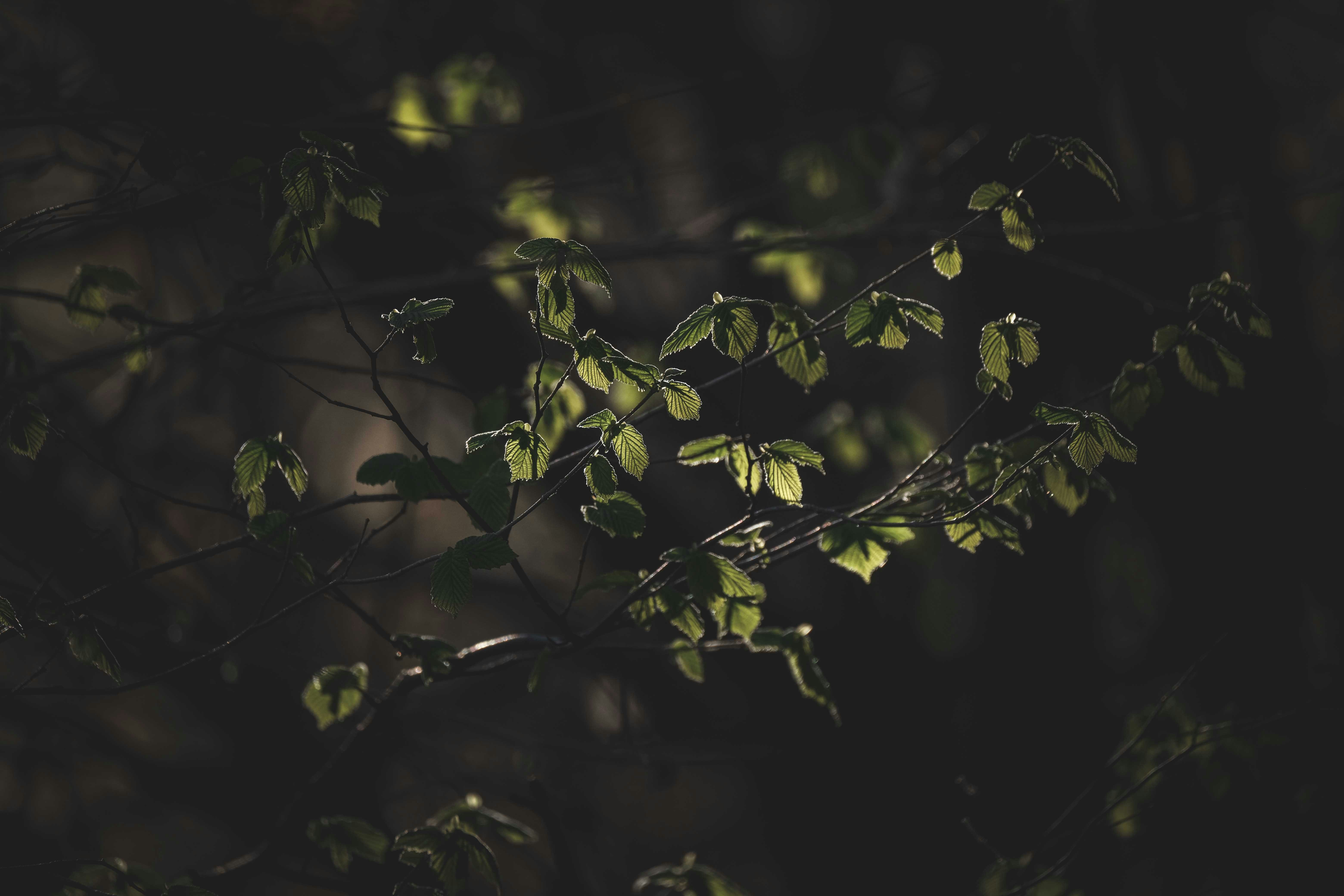 Photo by francesco_ungaro