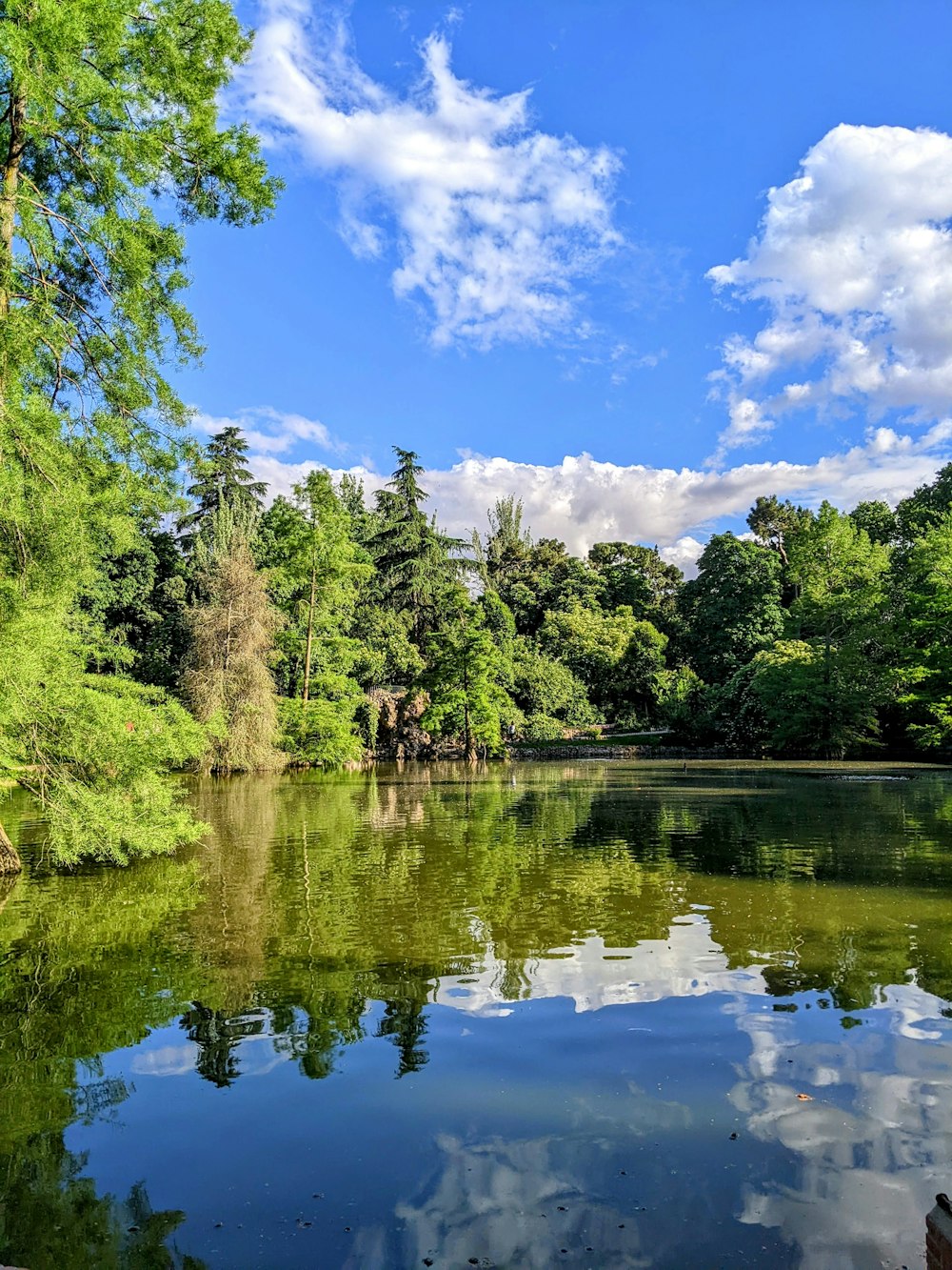 a body of water with trees around it