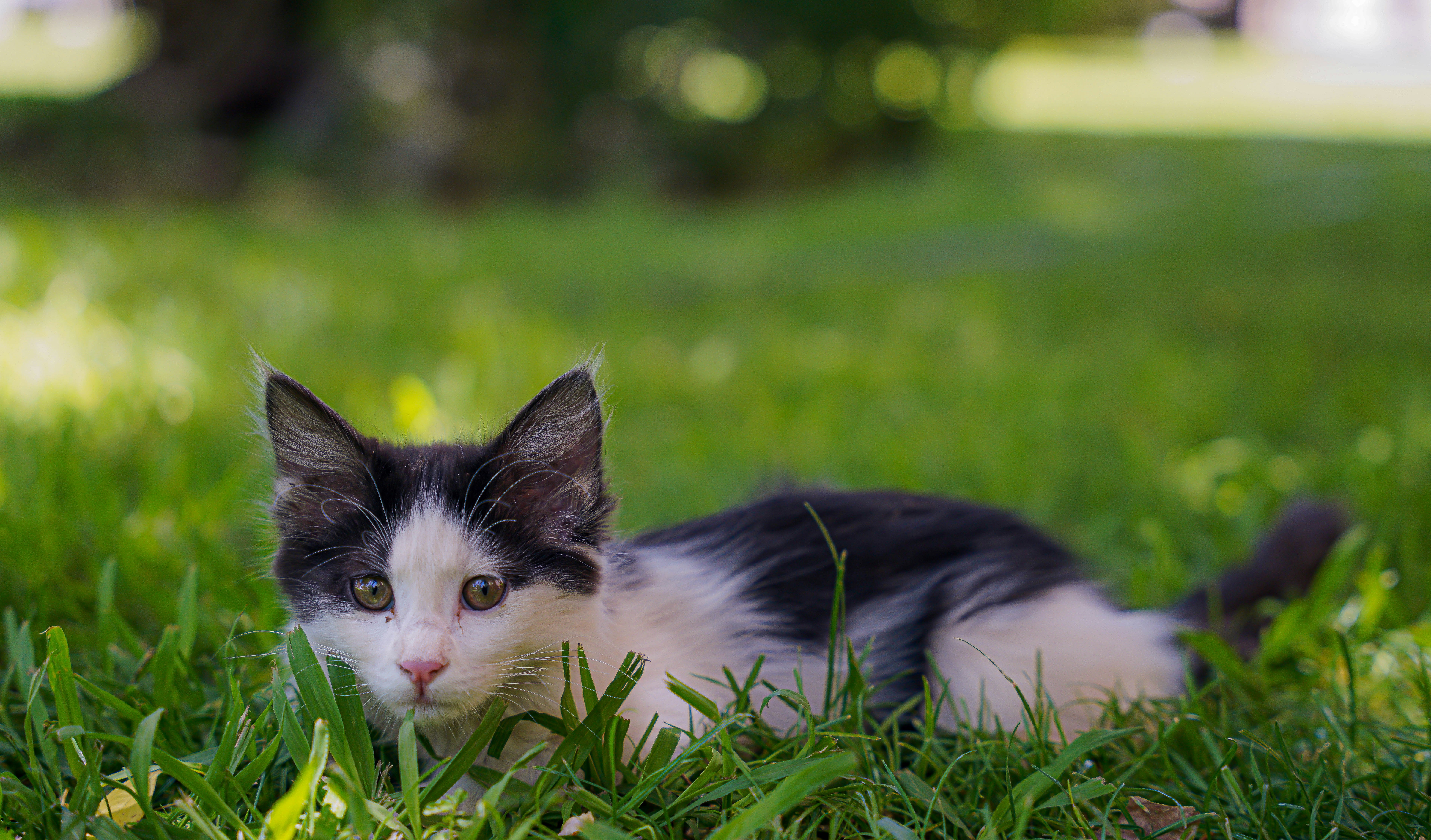 Photo by mahyar_mirghasmi