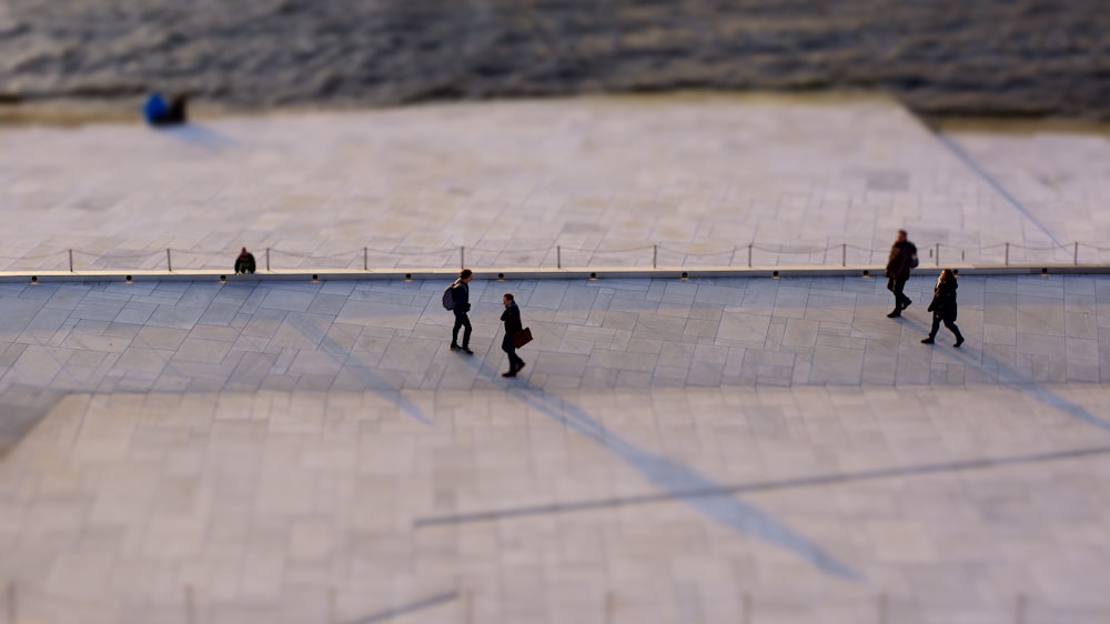 people skating on ice