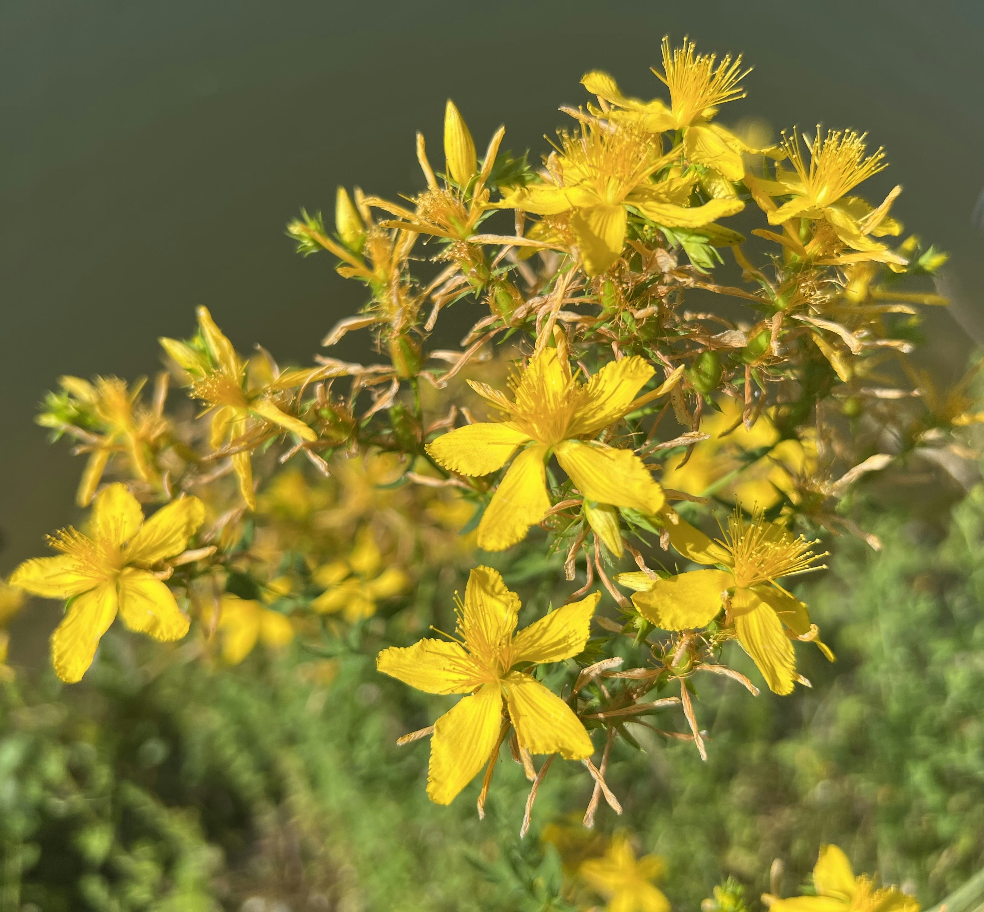 Photo by annamaria17