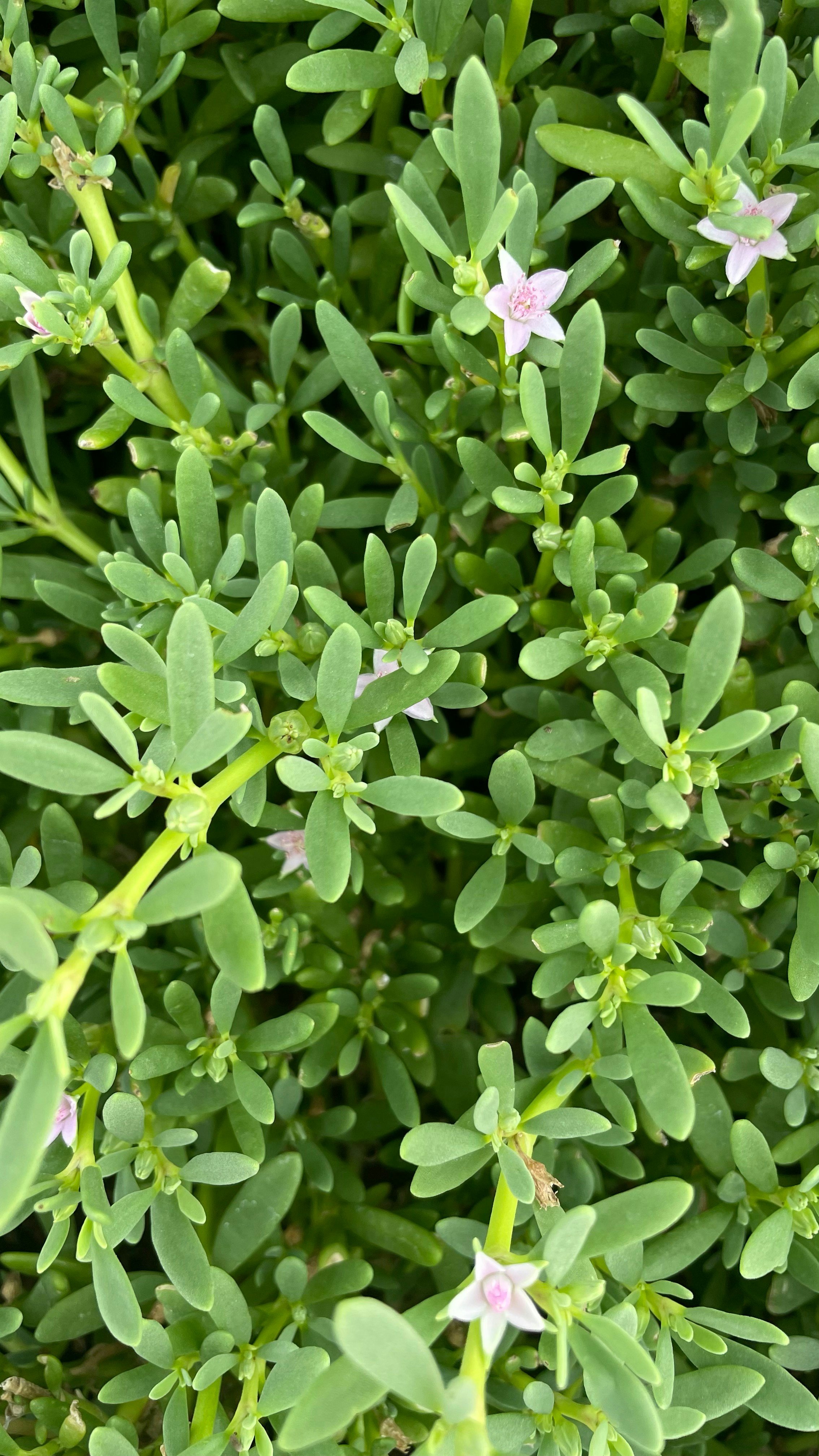 Photo by komal_designer