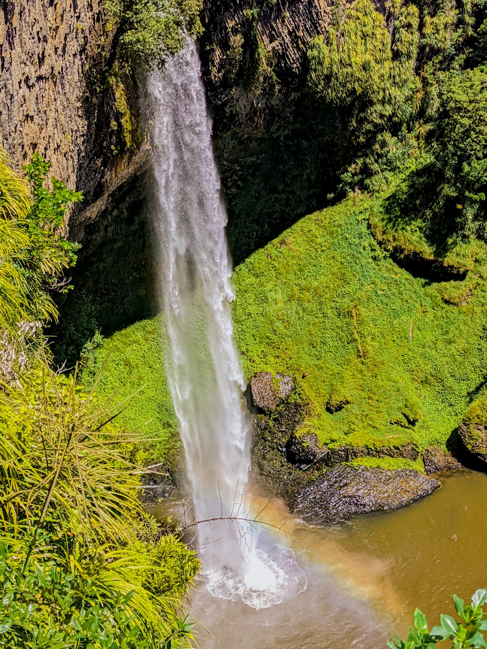 Une cascade dans une forêt