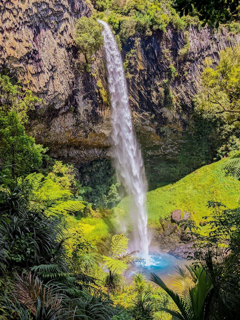 a waterfall in a forest