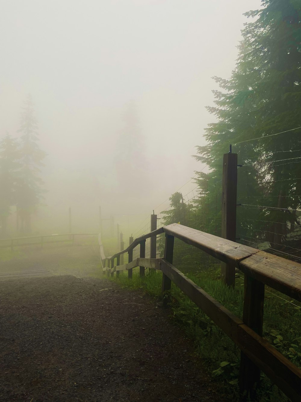 a wooden bridge over a foggy field