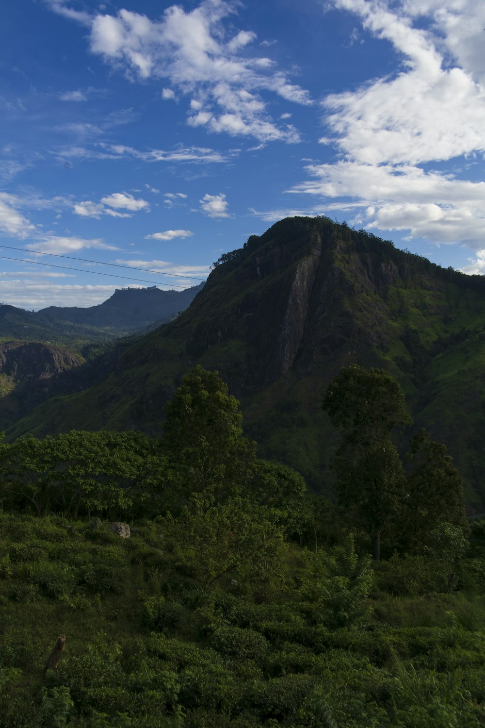 a large mountain with trees on it