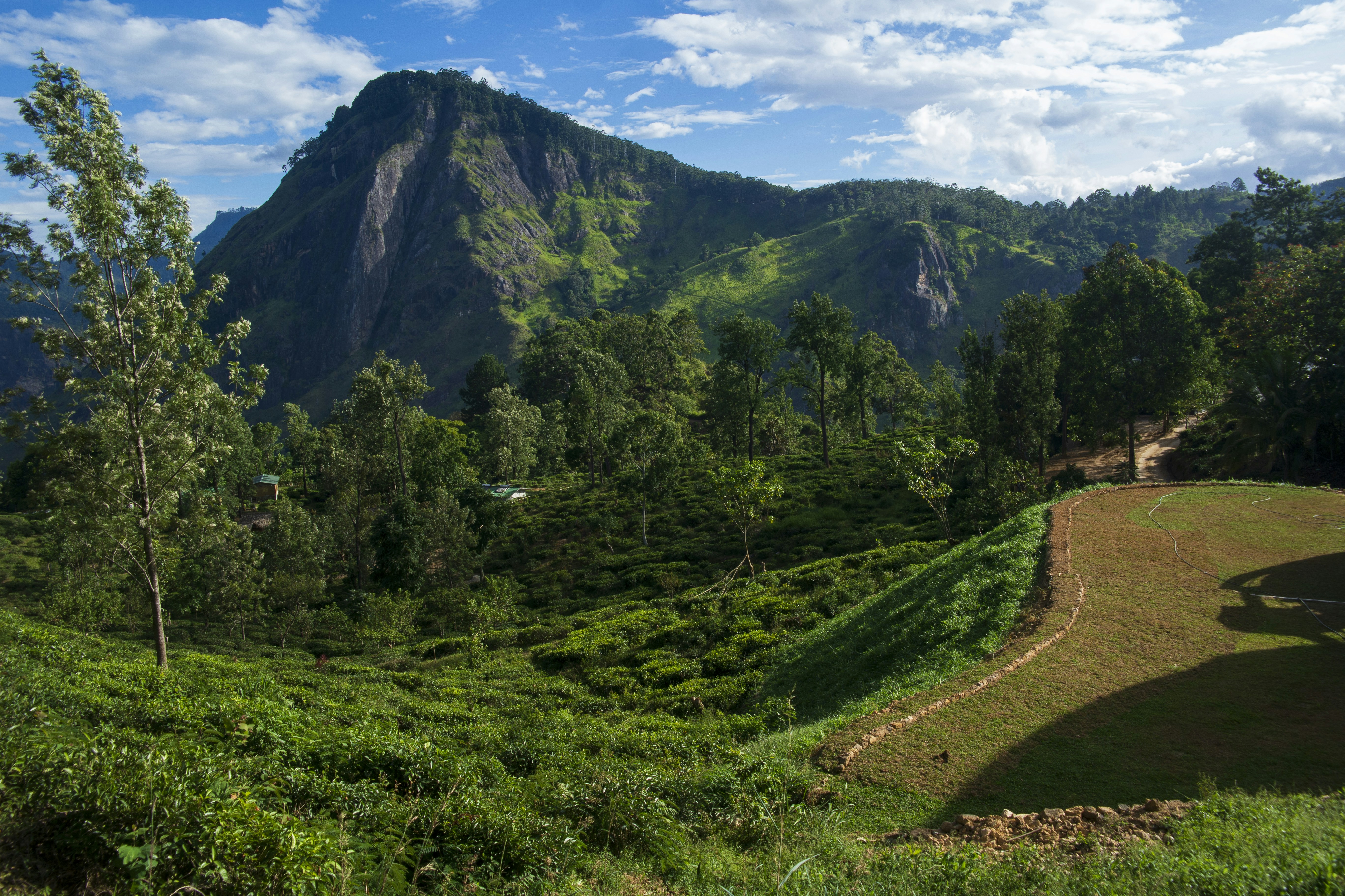 Photo by pasanjayaweera