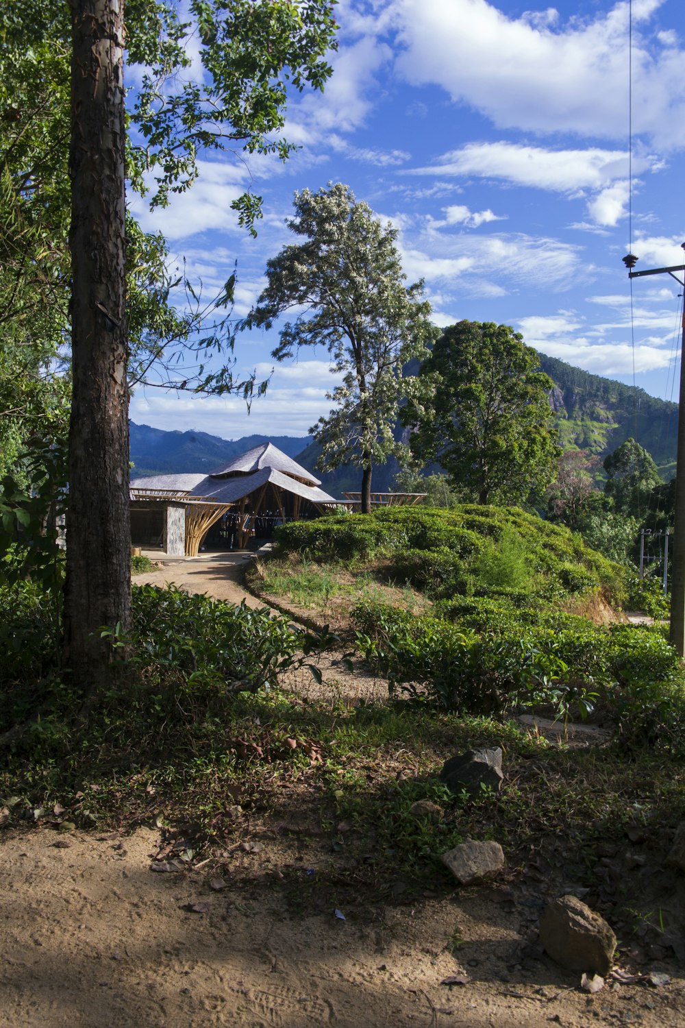 a small building in the middle of a forest