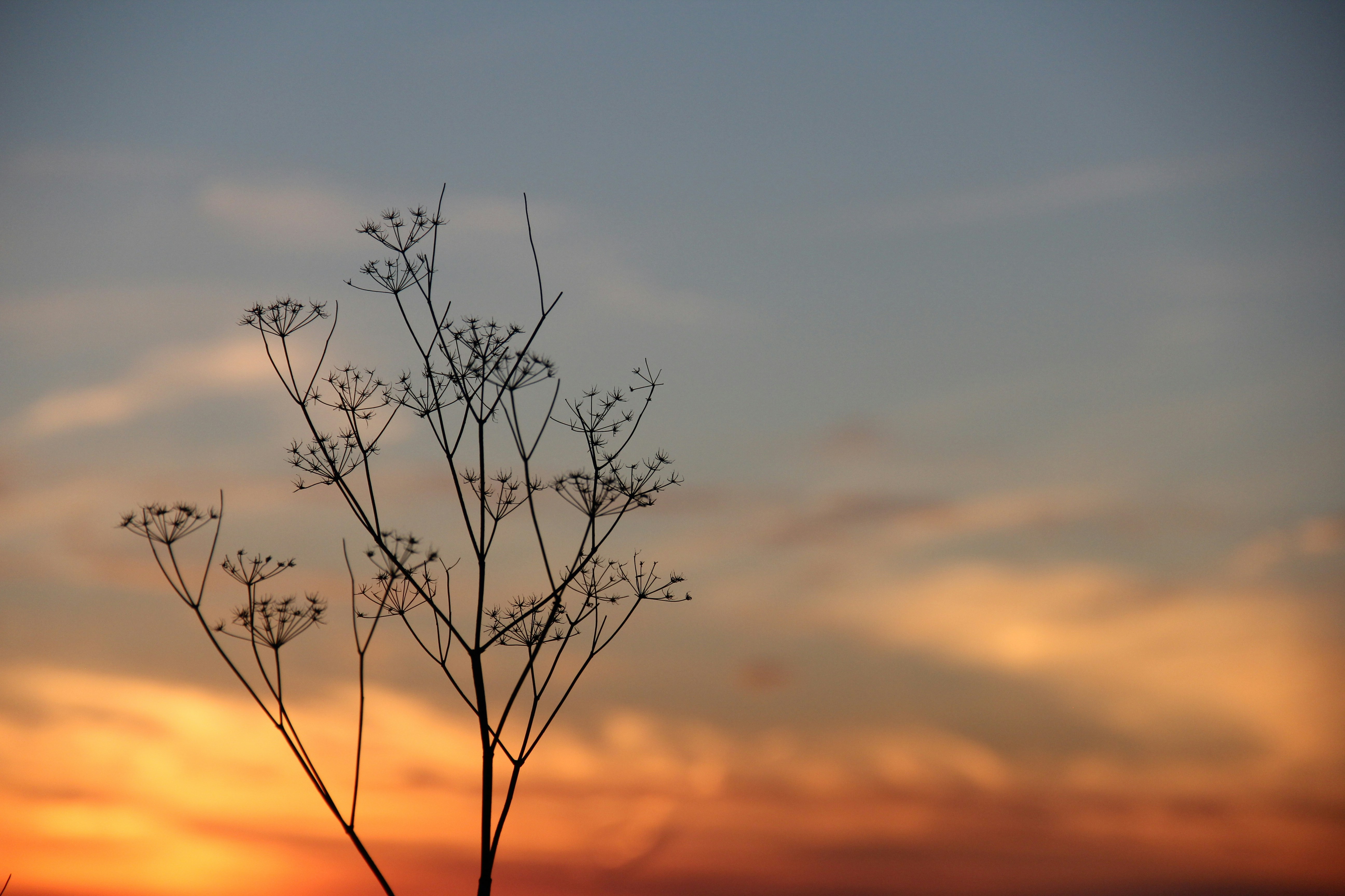 Photo by bella_mozzarella