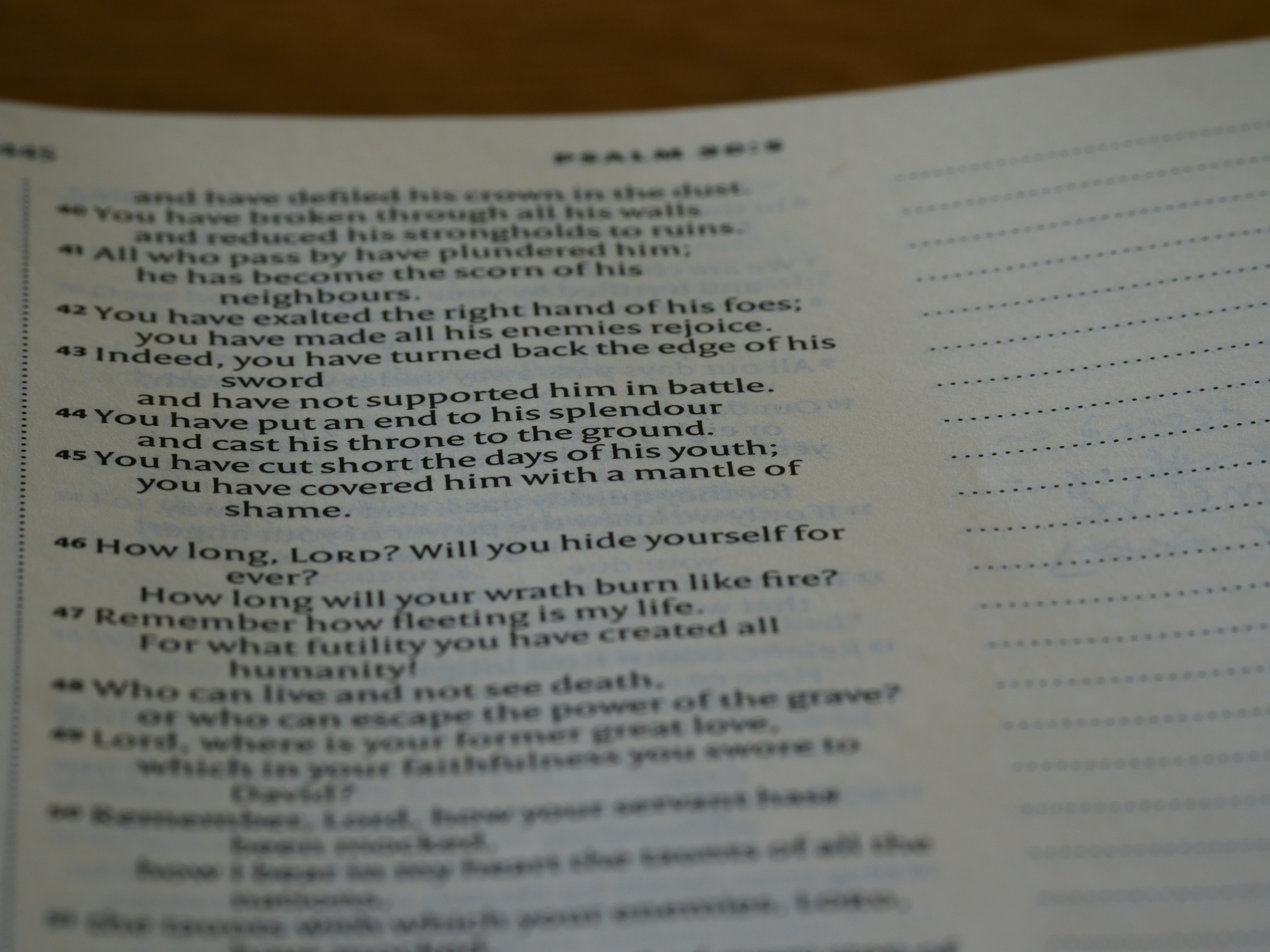 What Does the Bible Say About Faith?