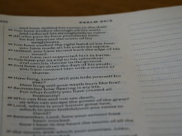 Close-up of an open Bible with highlighted verses.