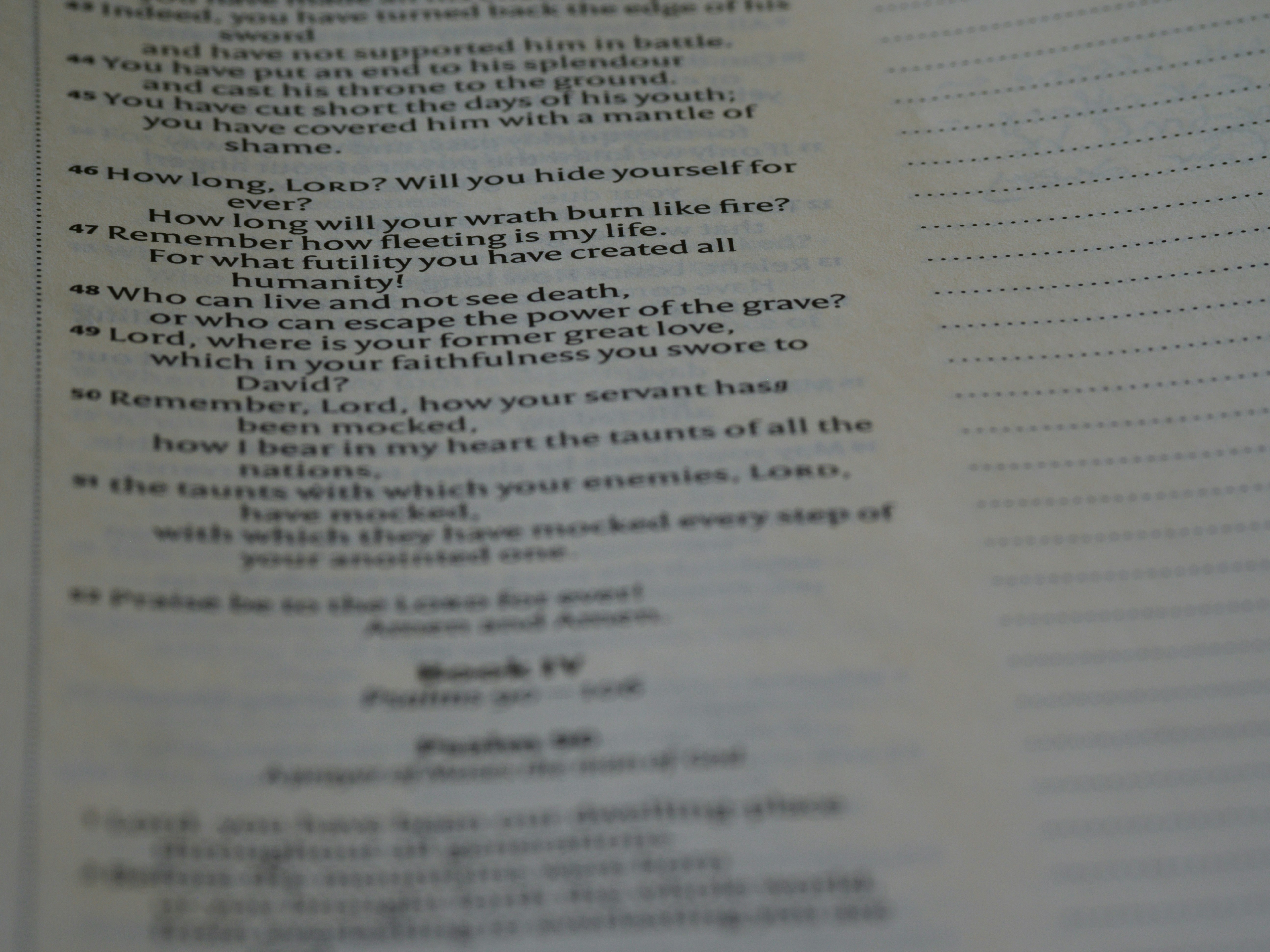 Photo by brett_jordan