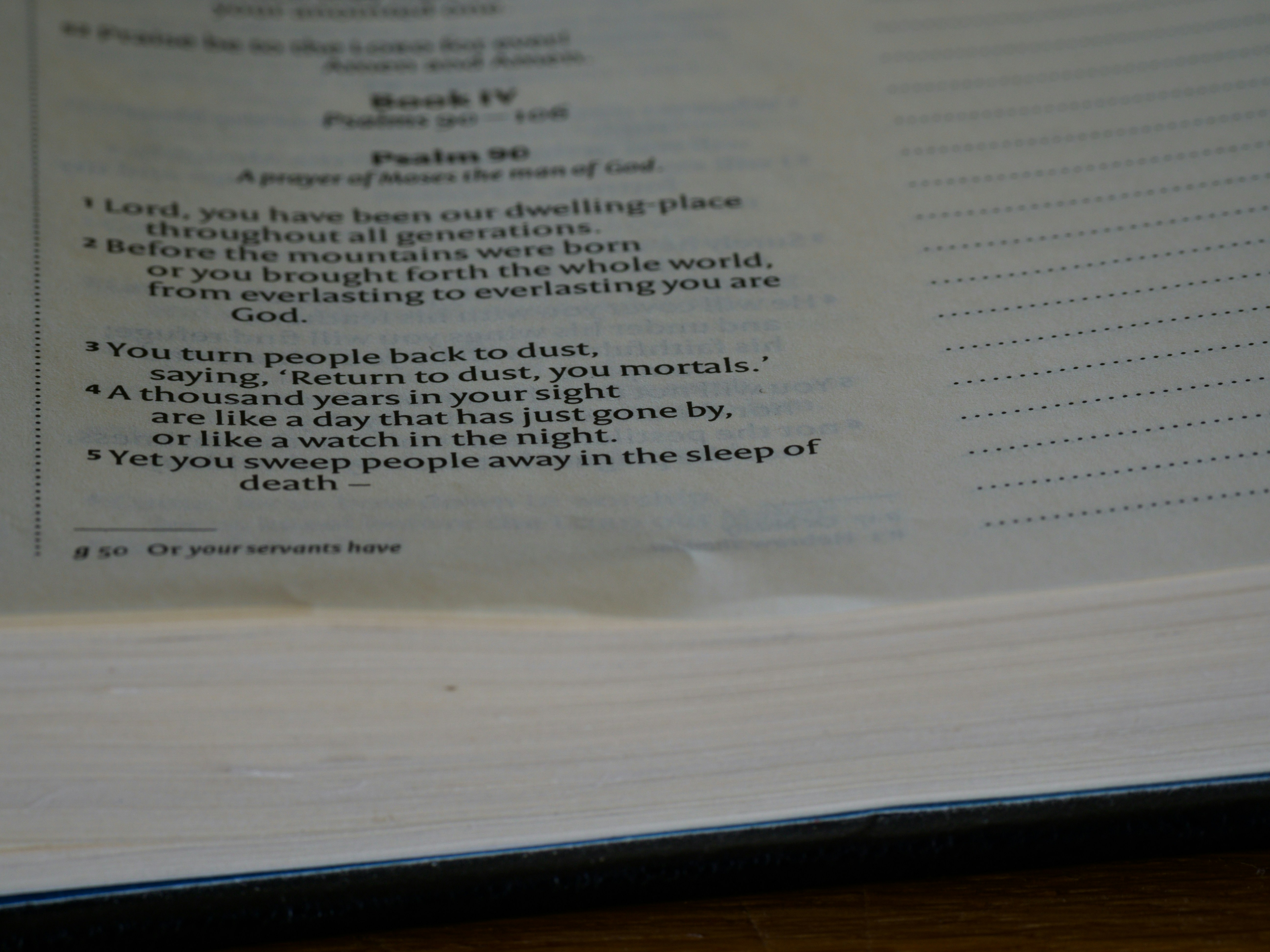 close up, bokeh, macro, blur, blurred background, close focus, bible, old testament, hebrew bible, christian, judaism, history, text, reading, bible study, devotions, text, NIV, New International Version, type, typography, canon, christianity, holy scripture, holy bible, scripture, old testament, hebrew bible, תְּהִלִּים, psalms, psalter, ketuvim, writings, tanakh, king david, <br />