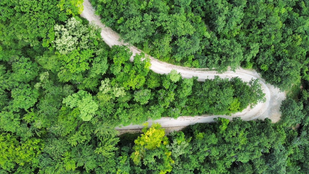 Eine Straße durch einen Wald