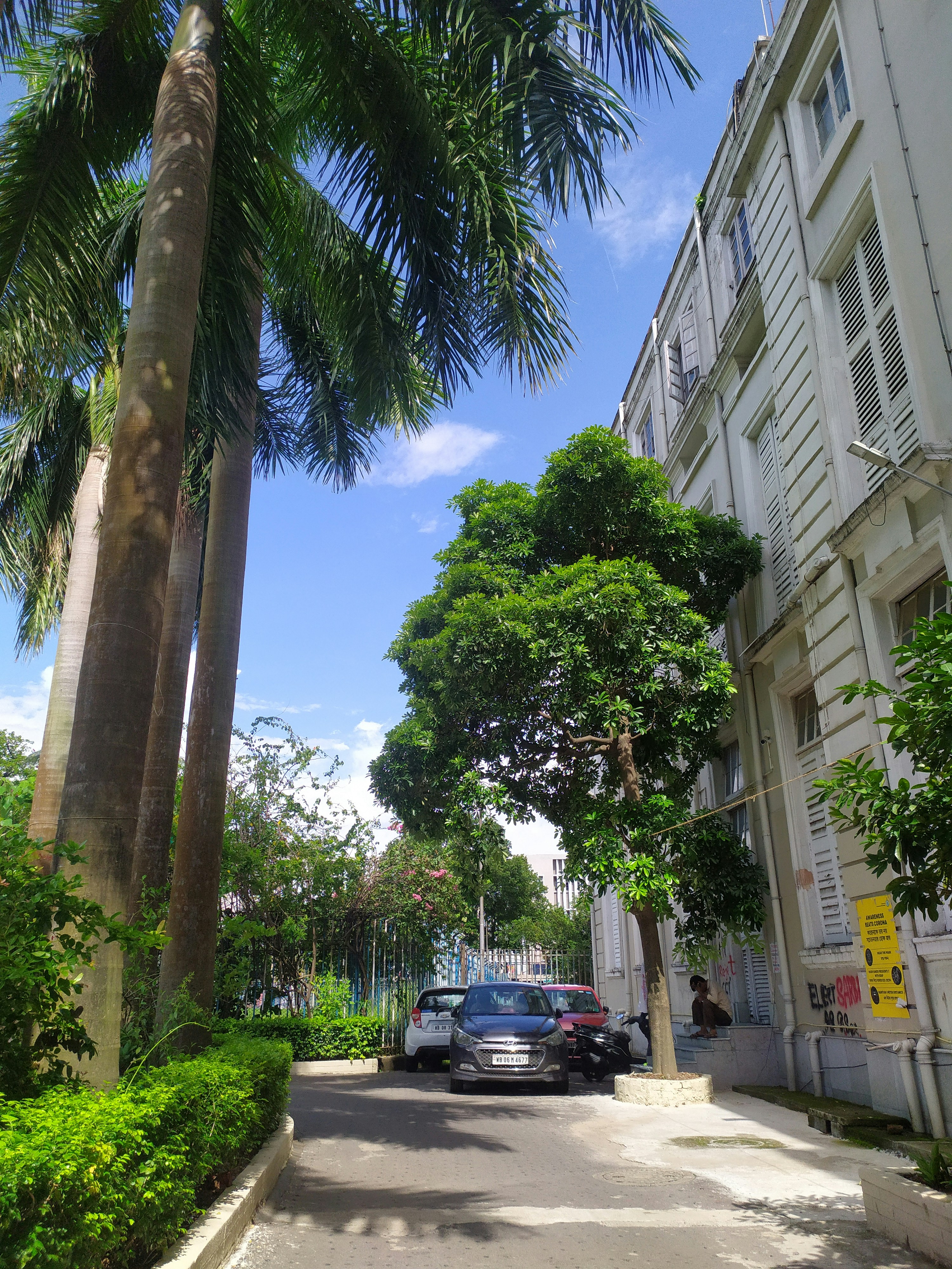 a street with cars parked on the side and trees on the side
