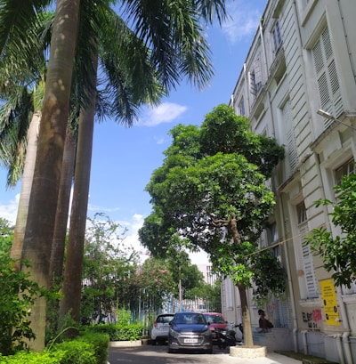 a street with cars parked on the side and trees on the side