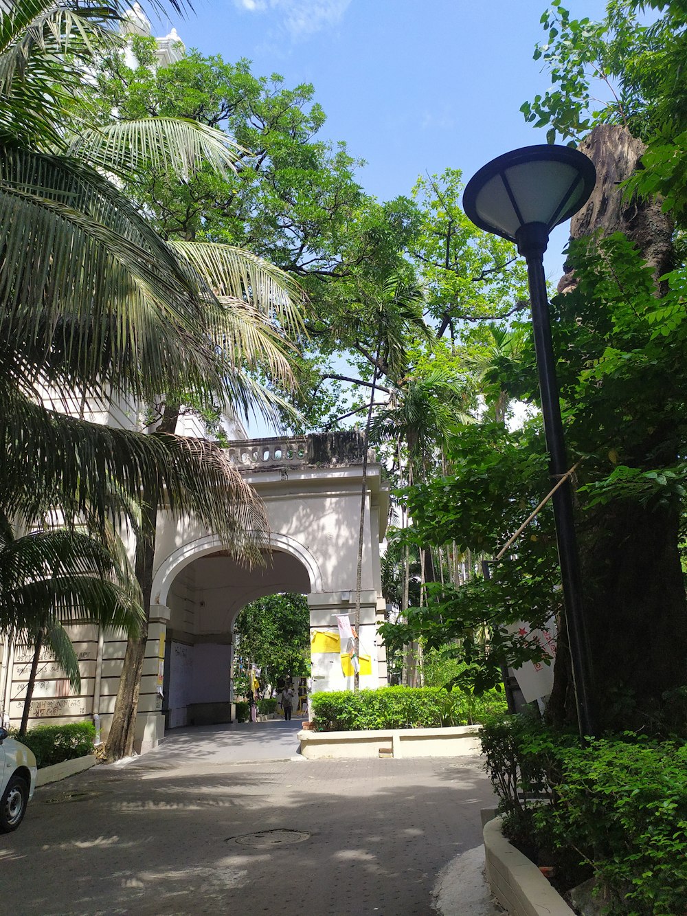 a street with palm trees and a lamp post