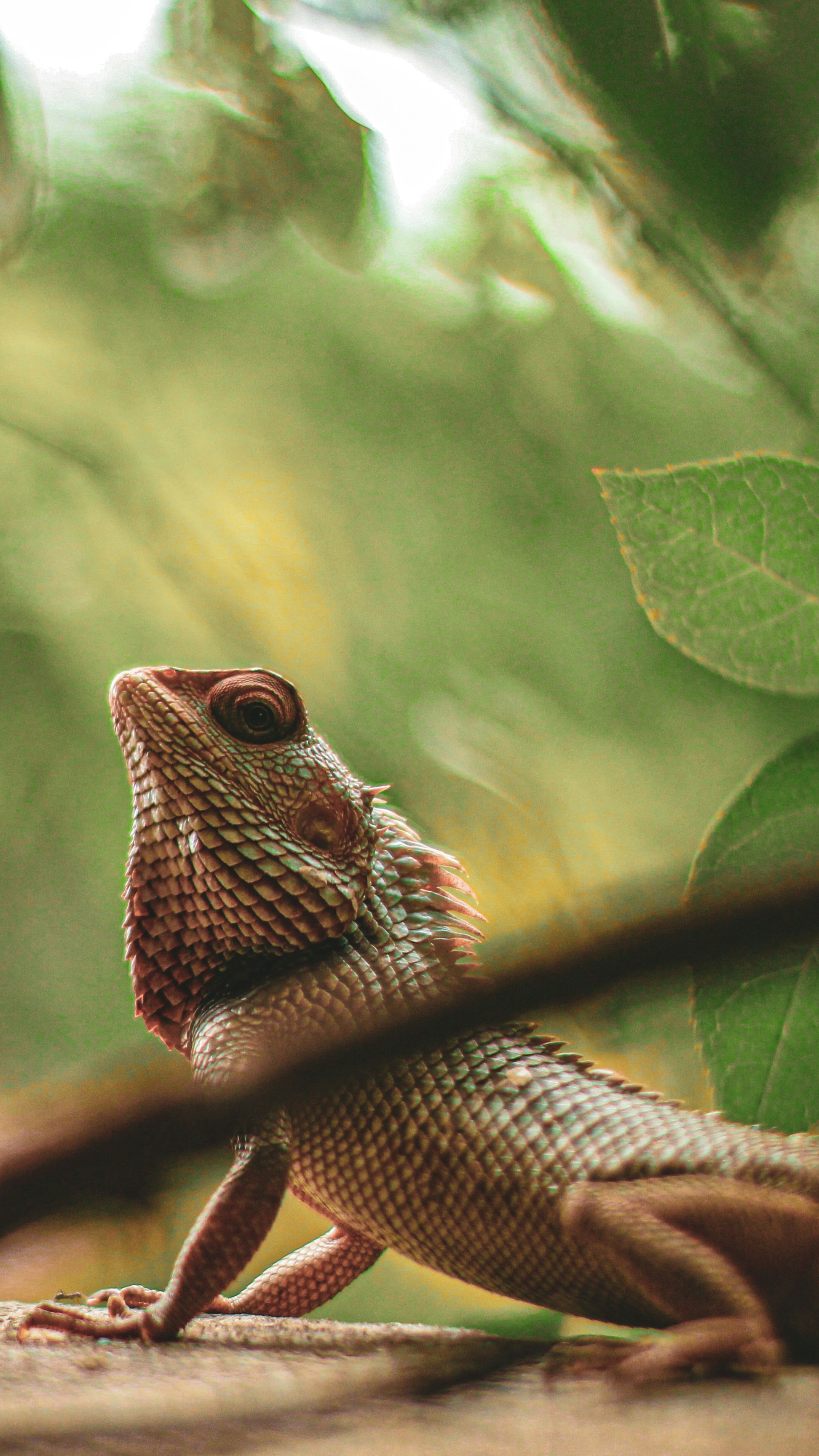 Photo by chetansaipraneeth