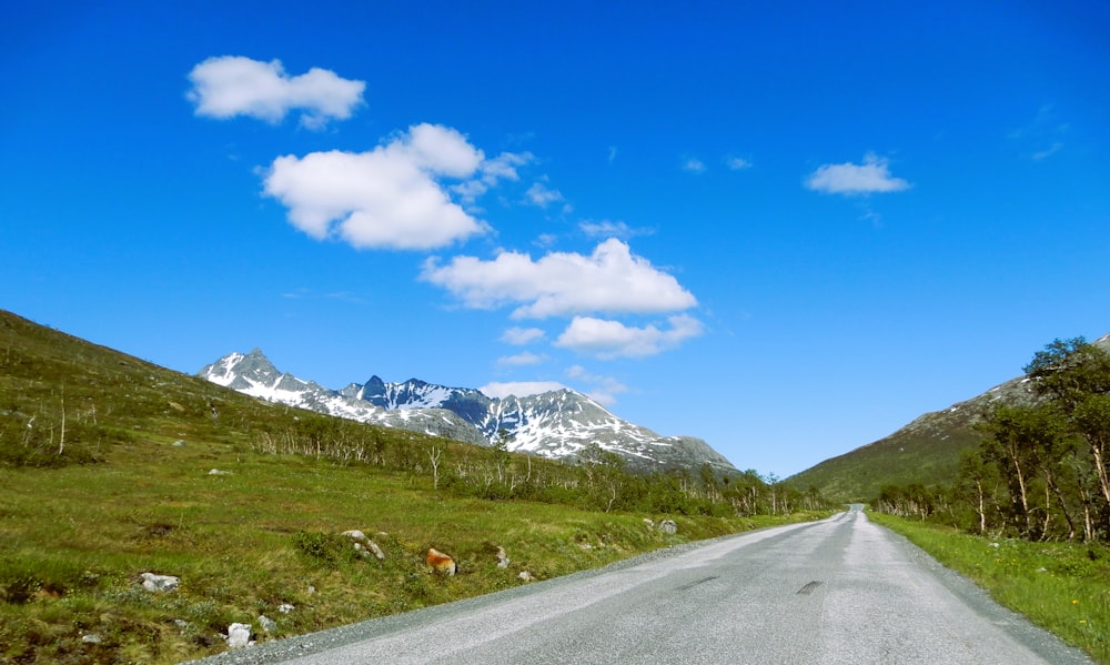 a road with grass and trees on the side and mountains in the background