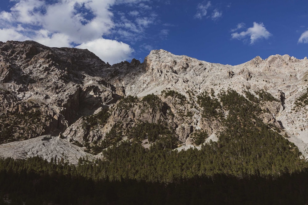 a rocky mountain with trees