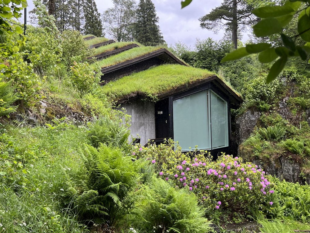 a small building in a forest